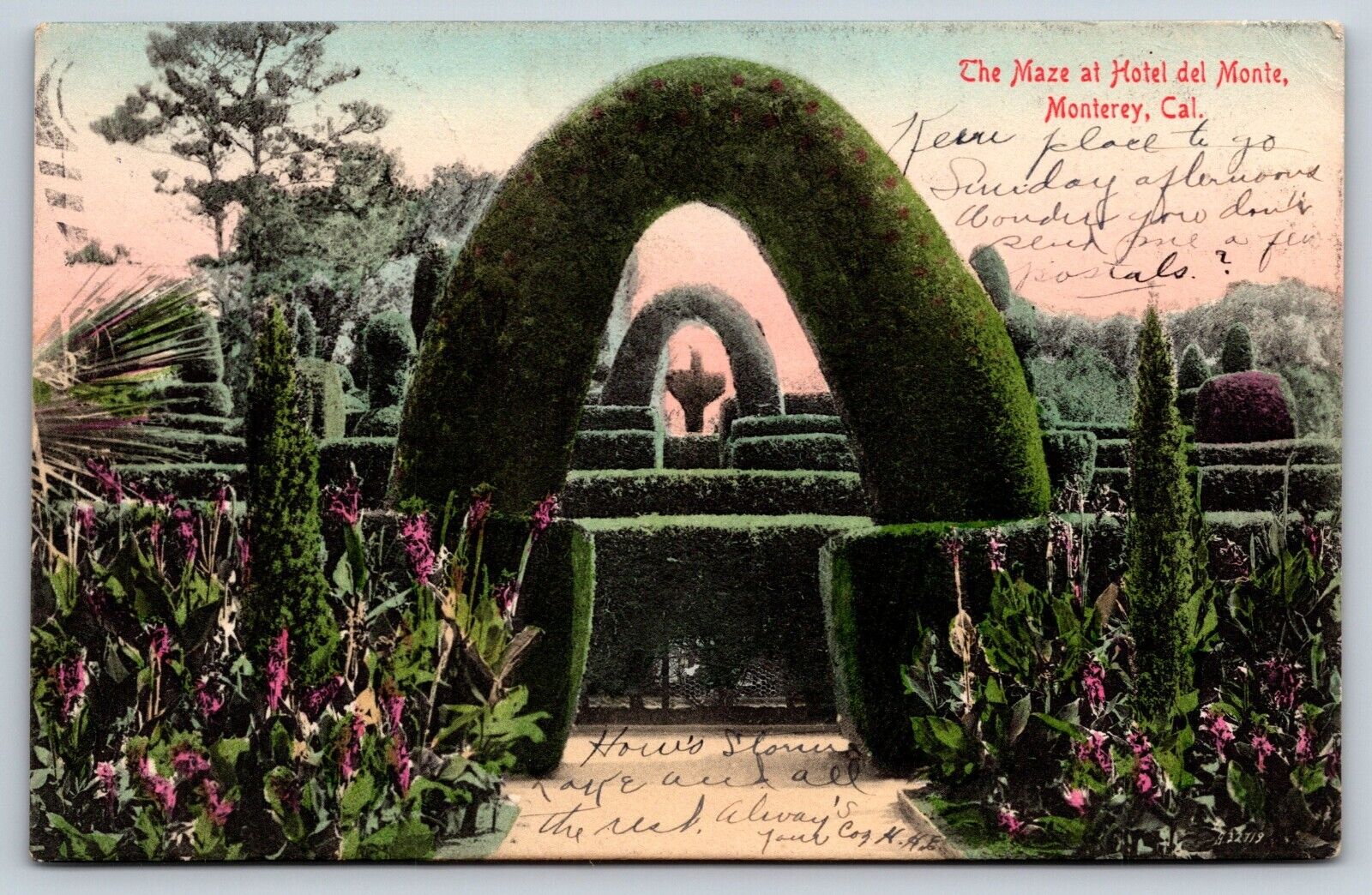 Hotel Del Monte Maze, Monterey, California Vintage Postcard