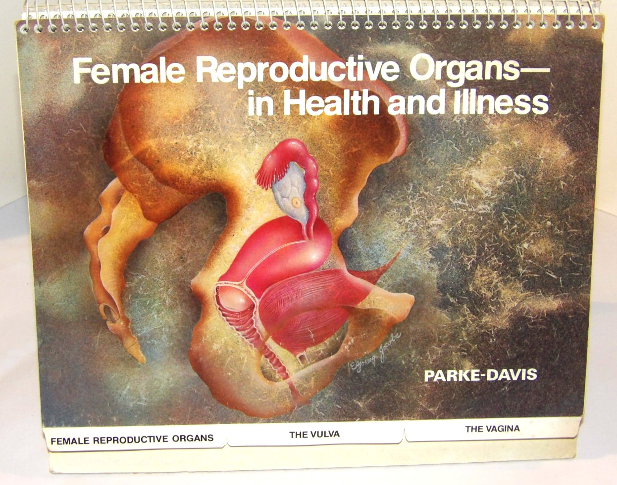 VTG 1978 DOCTOR OFFICE FLIP CHART/BOOK "FEMALE REPRODUCTIVE ORGANS" PARKE-DAVIS VTG 1978 DOCTOR OFFICE FLIP CHART/BOOK "FEMALE REPRODUCTIVE ORGANS" PARKE-DAVIS