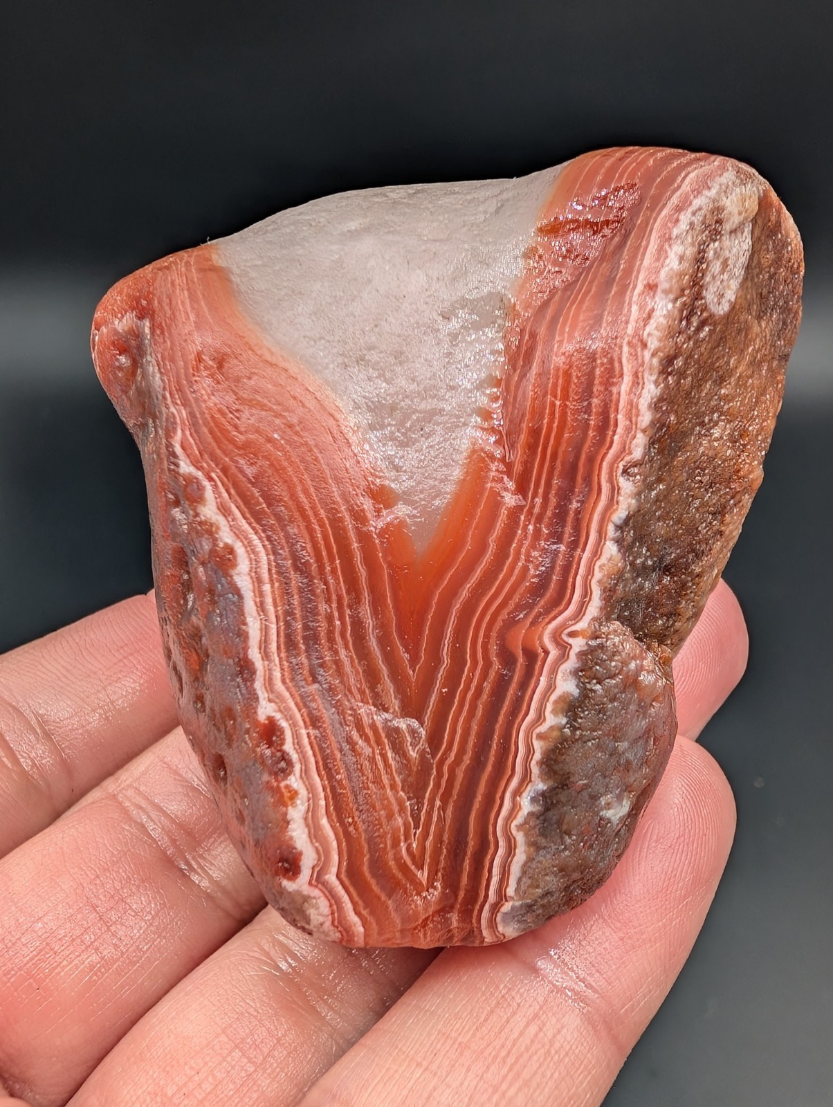 7.27 OZ BEAUTIFUL BOLD RED WUITE WHITE QUARTZY LAKE SUPERIOR AGATE GEMSTONE 7.27 OZ BEAUTIFUL BOLD RED WUITE WHITE QUARTZY LAKE SUPERIOR AGATE GEMSTONE