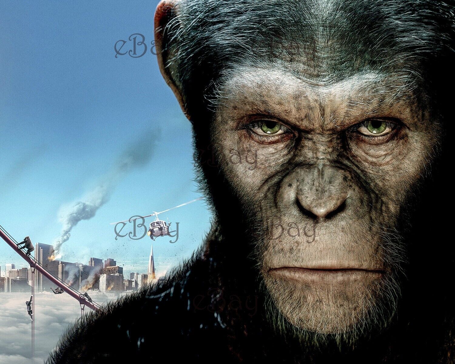 Rise of the Planet of the Apes 8X10 Photo Reprint
