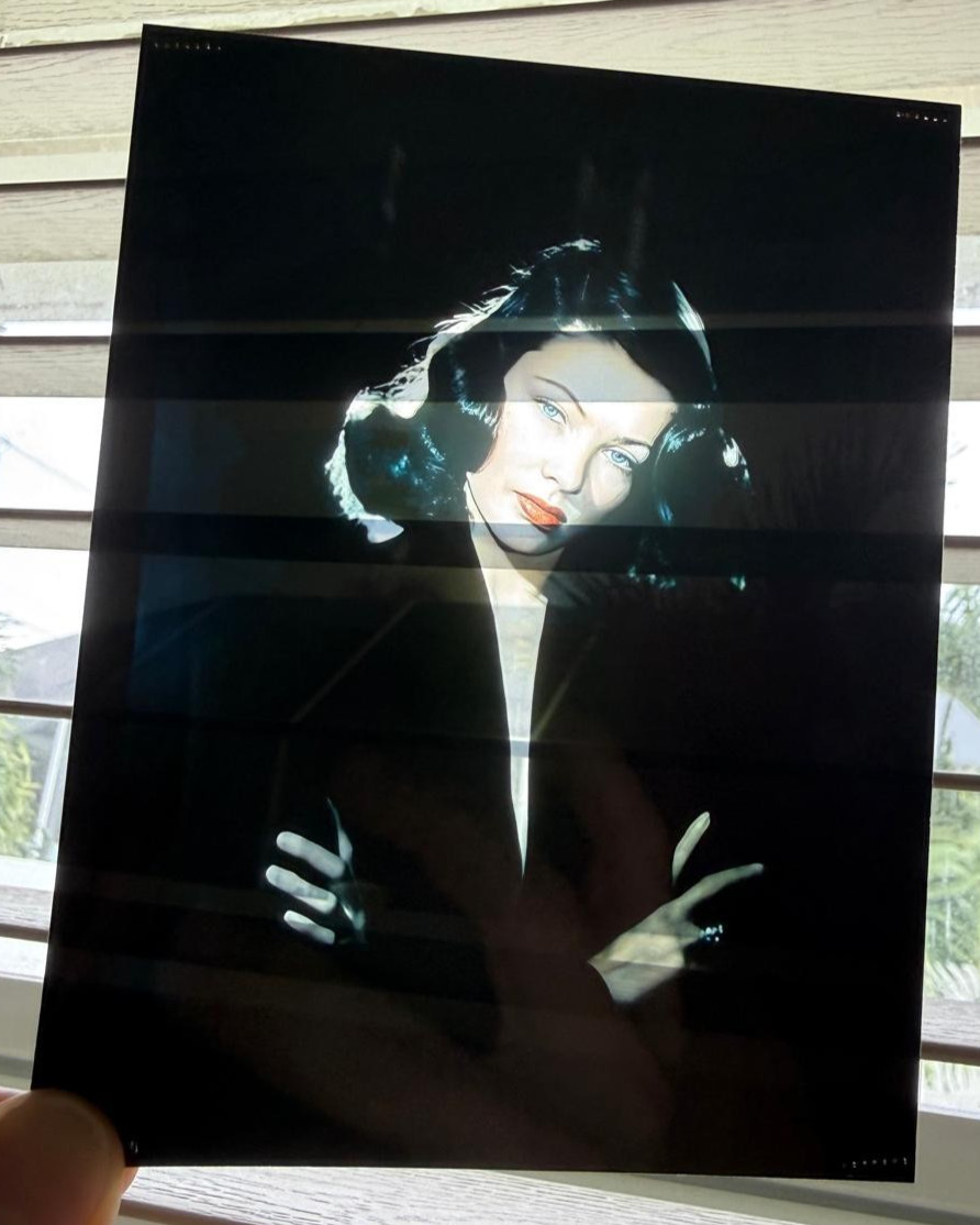 GENE TIERNEY VINTAGE ORIGINAL PHOTO HOLLYWOOD ACTRESS 4X5 TRANPARENCY SLIDE GENE TIERNEY VINTAGE ORIGINAL PHOTO HOLLYWOOD ACTRESS 4X5 TRANPARENCY SLIDE