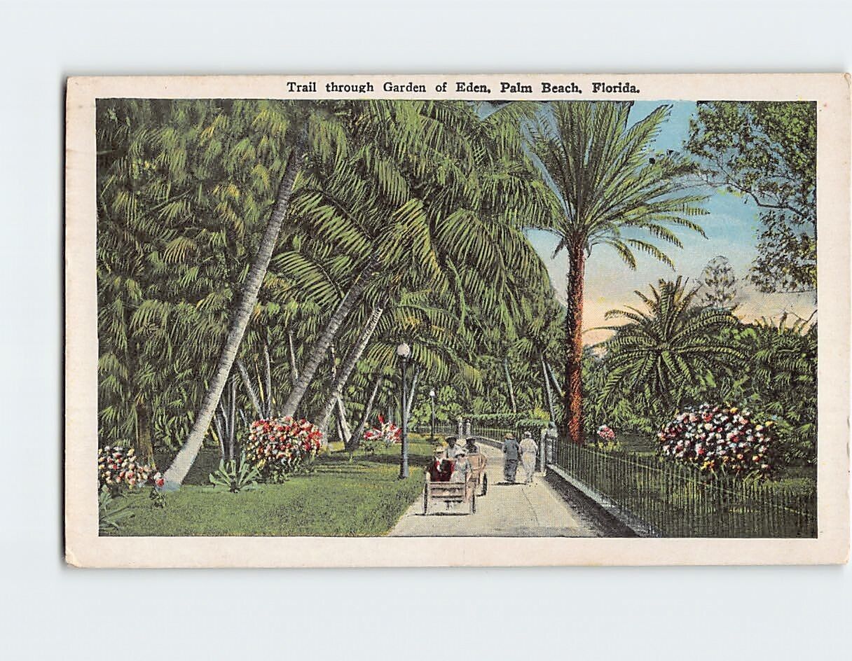 Postcard Trail Through of Eden Palm Beach Florida USA