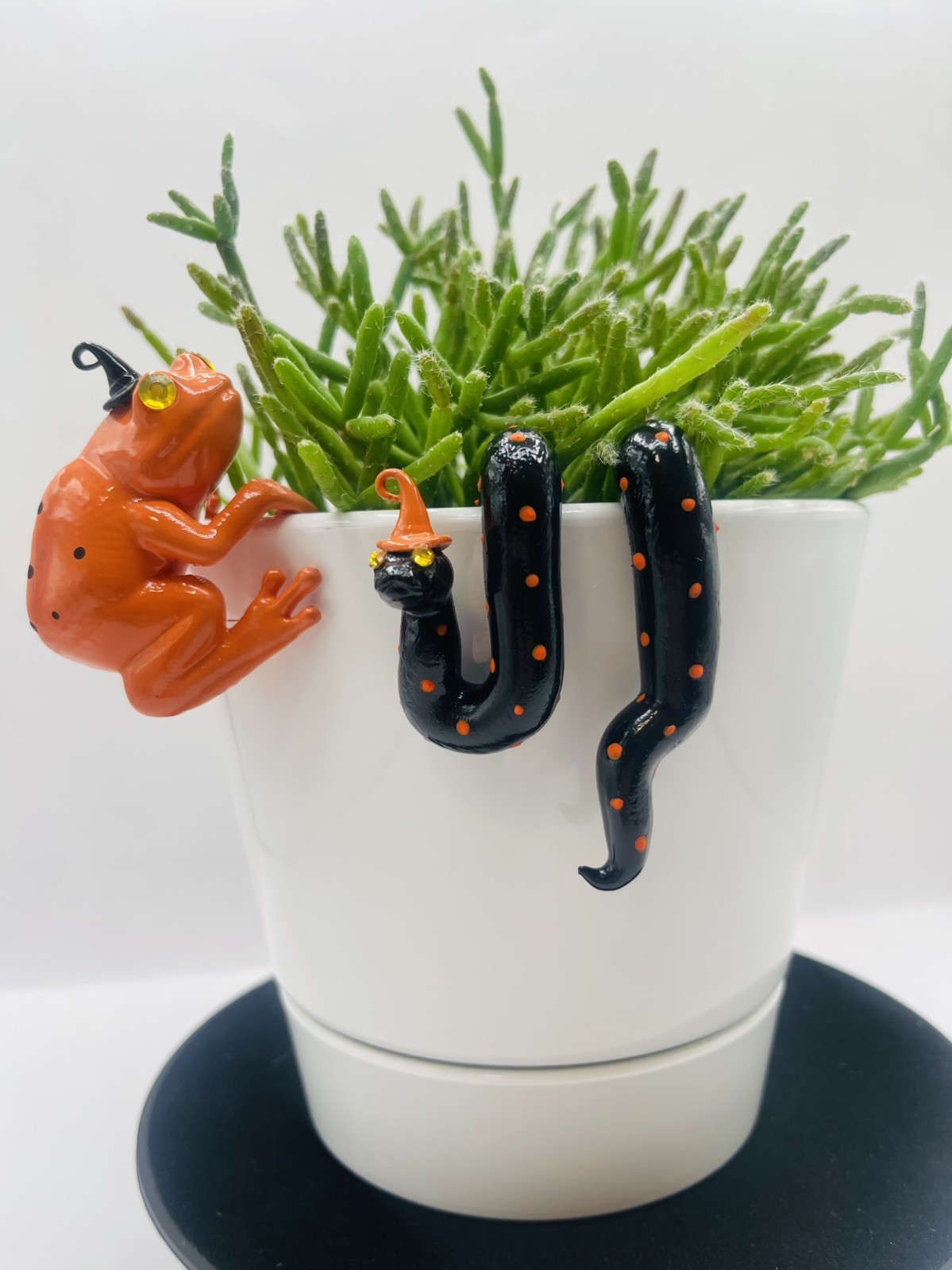 Meet “The Boo Crew” Halloween Hanging Frog and Snake Plant Decor - Pot Hugger Meet “The Boo Crew” Halloween Hanging Frog and Snake Plant Decor - Pot Hugger