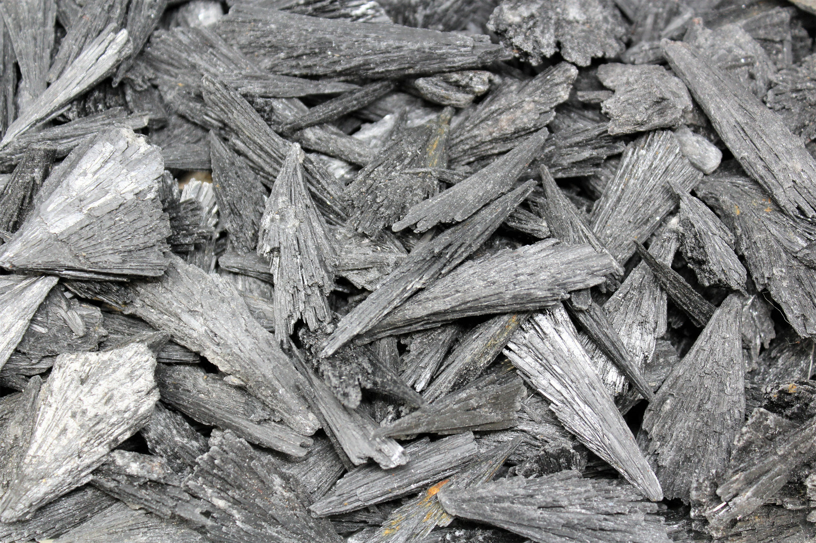 1 lb Black Kyanite Blades (Kyanite Blade, Fan) Wholesale Bulk Lot 1 lb Black Kyanite Blades (Kyanite Blade, Fan) Wholesale Bulk Lot