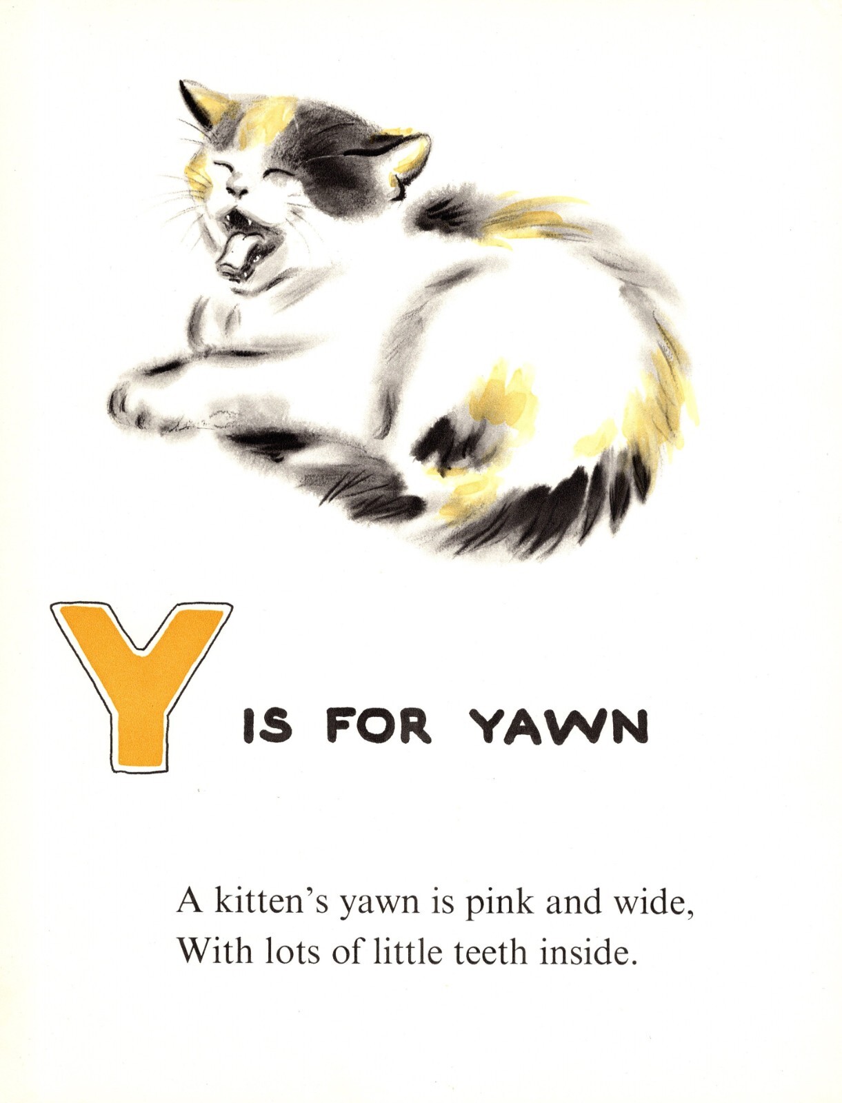 Vintage Yawning Kitten Cat Print ABC Letter Y Alphabet Print Wall Art 5410j Vintage Yawning Kitten Cat Print ABC Letter Y Alphabet Print Wall Art 5410j