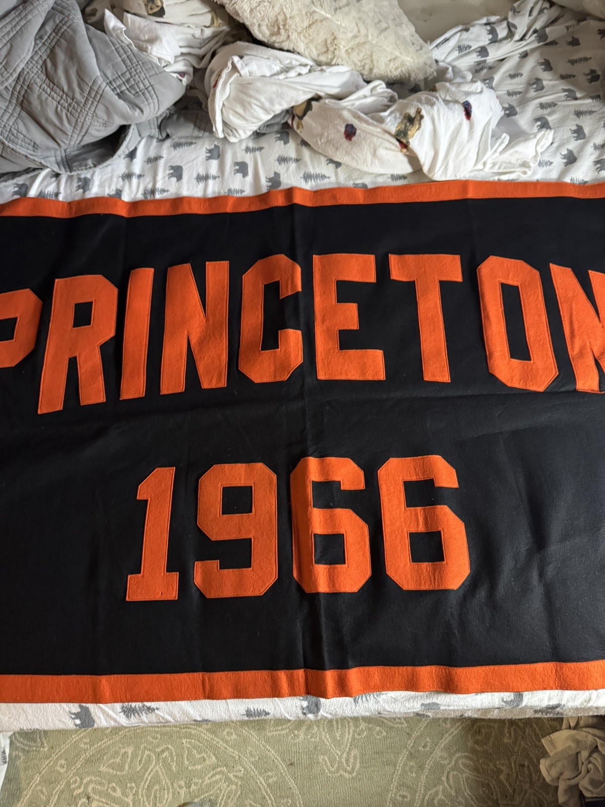 Vintage Princeton University Class of 1966 Wool Felt Banner VGC 34 x 68