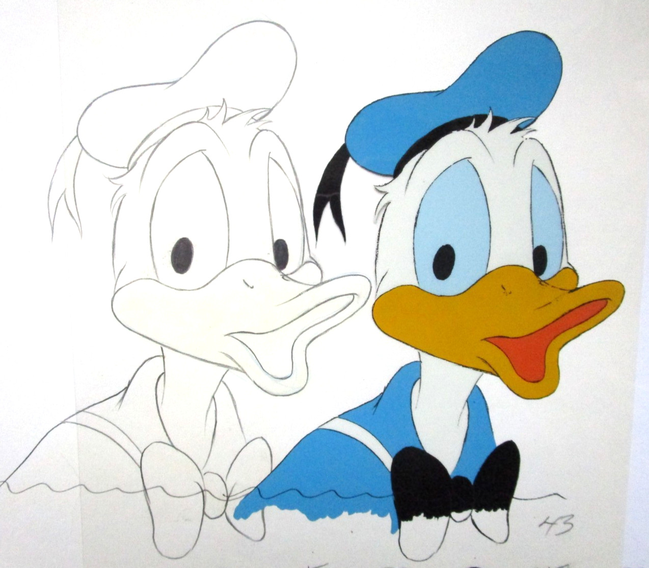 1980's DONALD DUCK WALT DISNEY ORIGINAL PRODUCTION CEL + DRAWING sailor hat 1980's DONALD DUCK WALT DISNEY ORIGINAL PRODUCTION CEL + DRAWING sailor hat