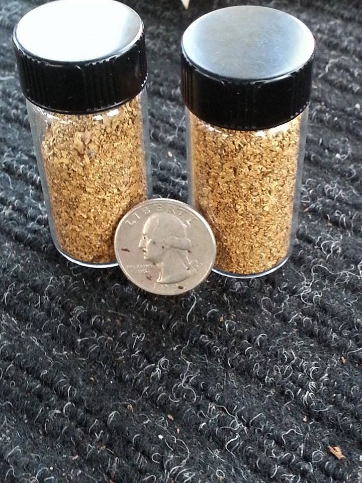 Buy our best rich GOLD paydirt concentrates by the 1/4 Pound Nuggets Pay Dirt Buy our best rich GOLD paydirt concentrates by the 1/4 Pound Nuggets Pay Dirt