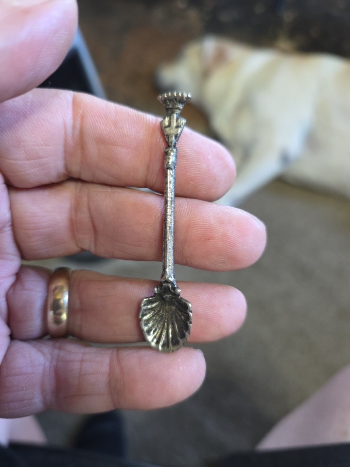 VINTAGE ITALIAN SALT CELLER SPOON SILVER-PLATED VINTAGE ITALIAN SALT CELLER SPOON SILVER-PLATED