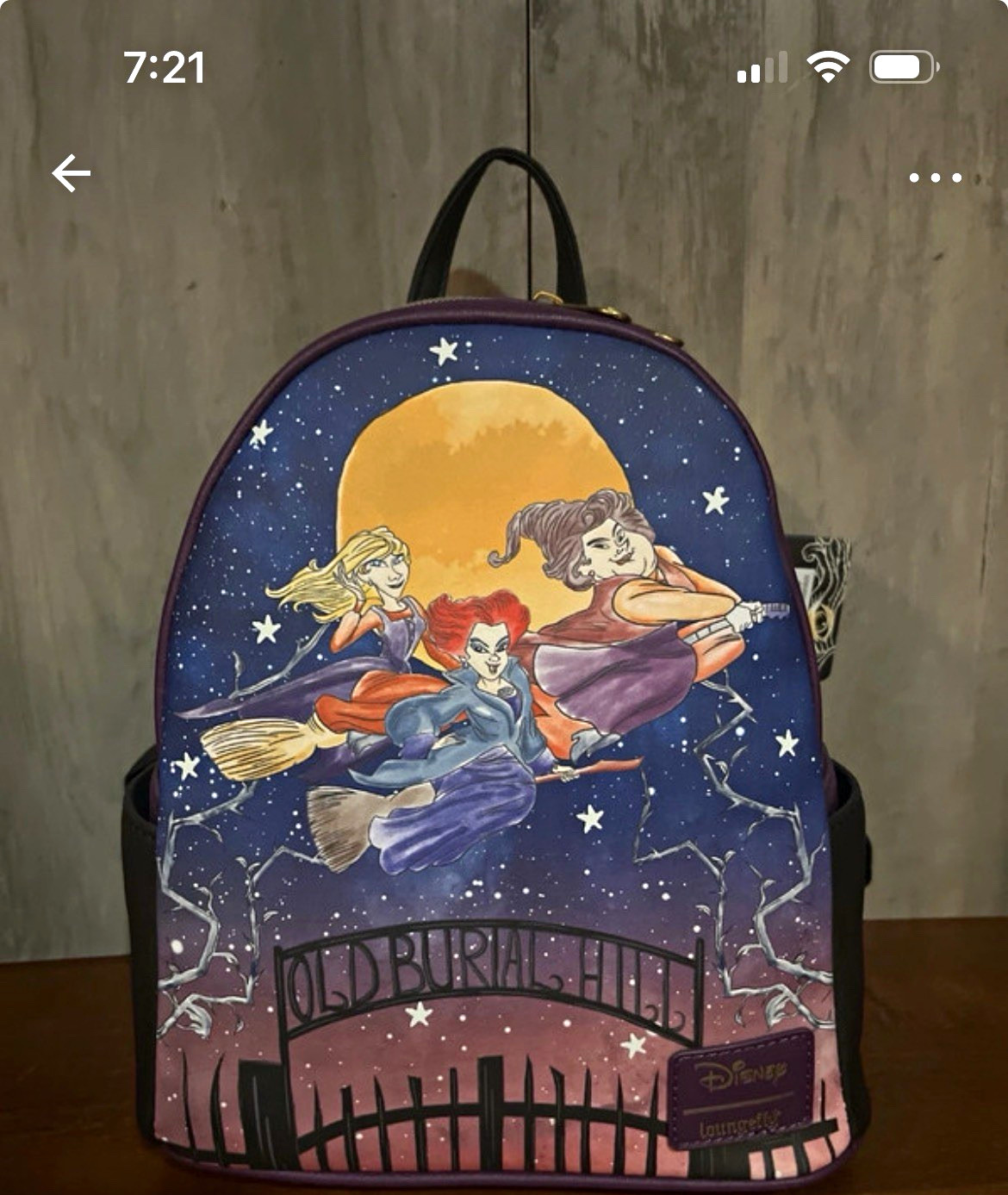 Loungefly Disney Hocus Pocus Old Burial Hill Mini Backpack Multicolor NWT Loungefly Disney Hocus Pocus Old Burial Hill Mini Backpack Multicolor NWT