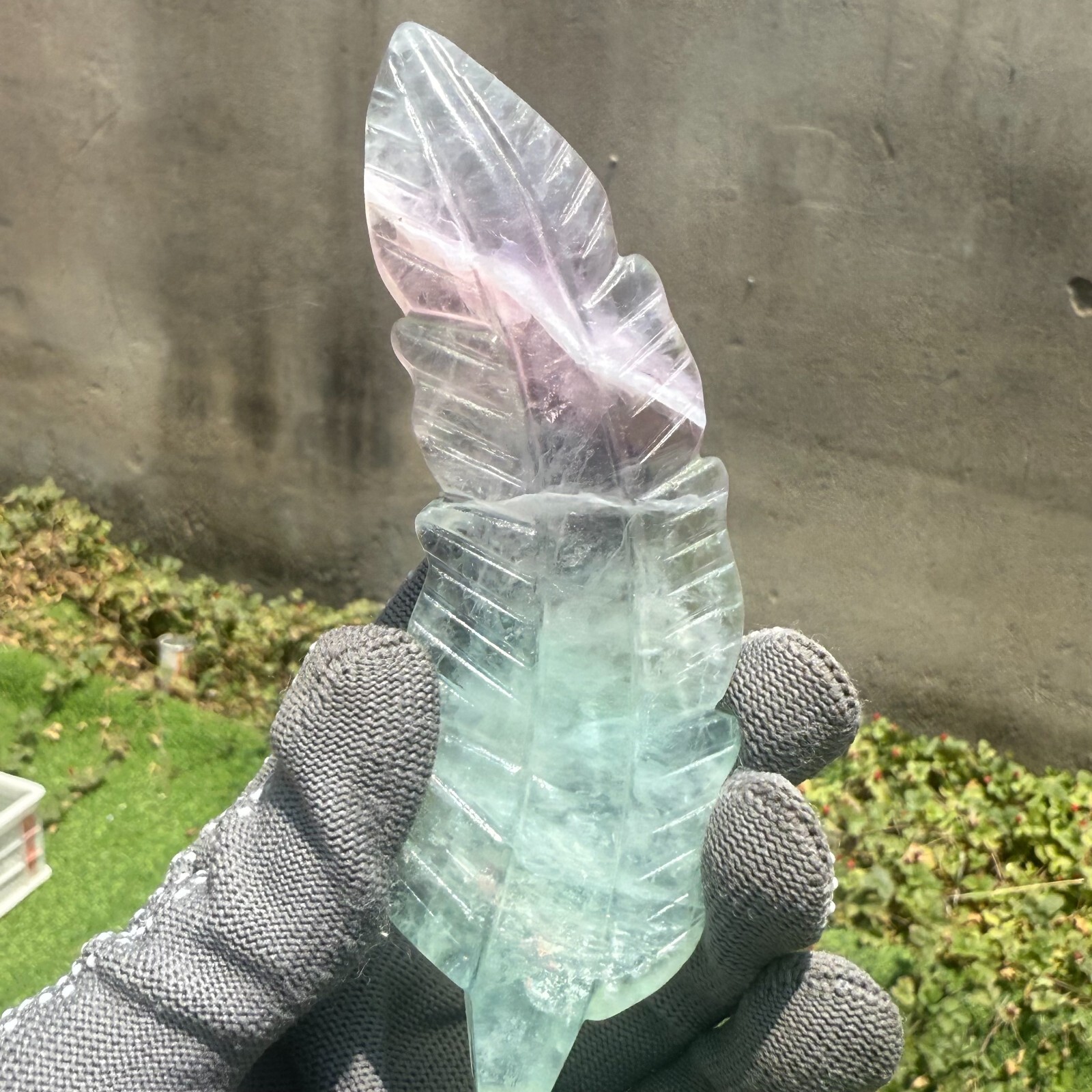 138g Natural Gorgeous Fluorite Feather Crystal Mineral Healing
