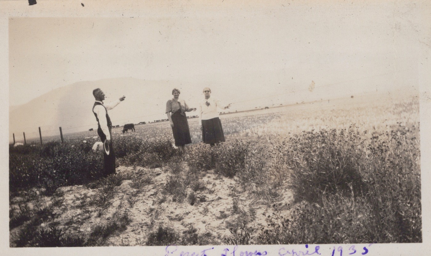Palm Springs Desert Flowers Coachella Valley 1935 - Original Photo Palm Springs Desert Flowers Coachella Valley 1935 - Original Photo