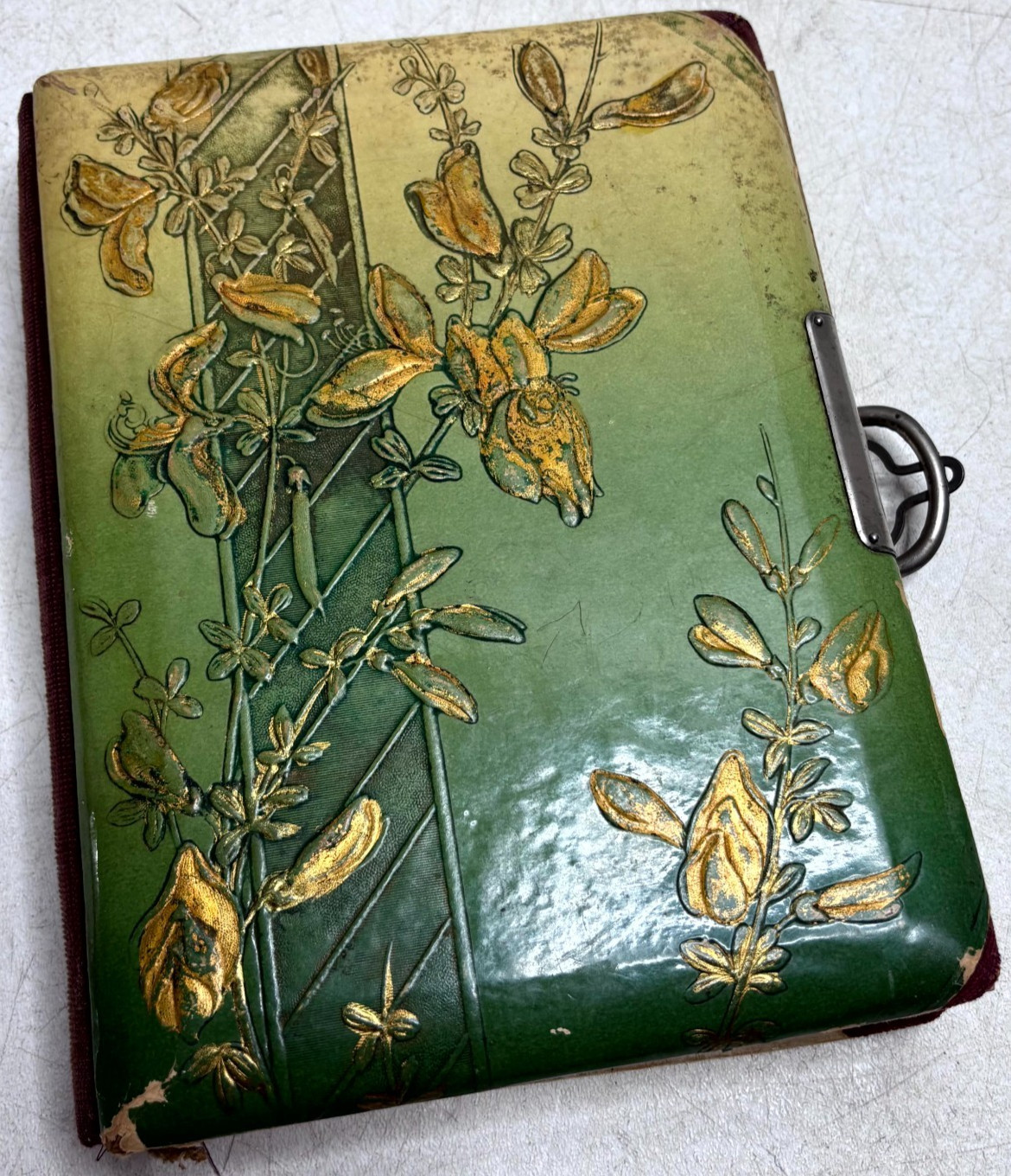 Antique Victorian Celluloid Photo Album Embossed Floral Cabinet Card Scrapbook Antique Victorian Celluloid Photo Album Embossed Floral Cabinet Card Scrapbook