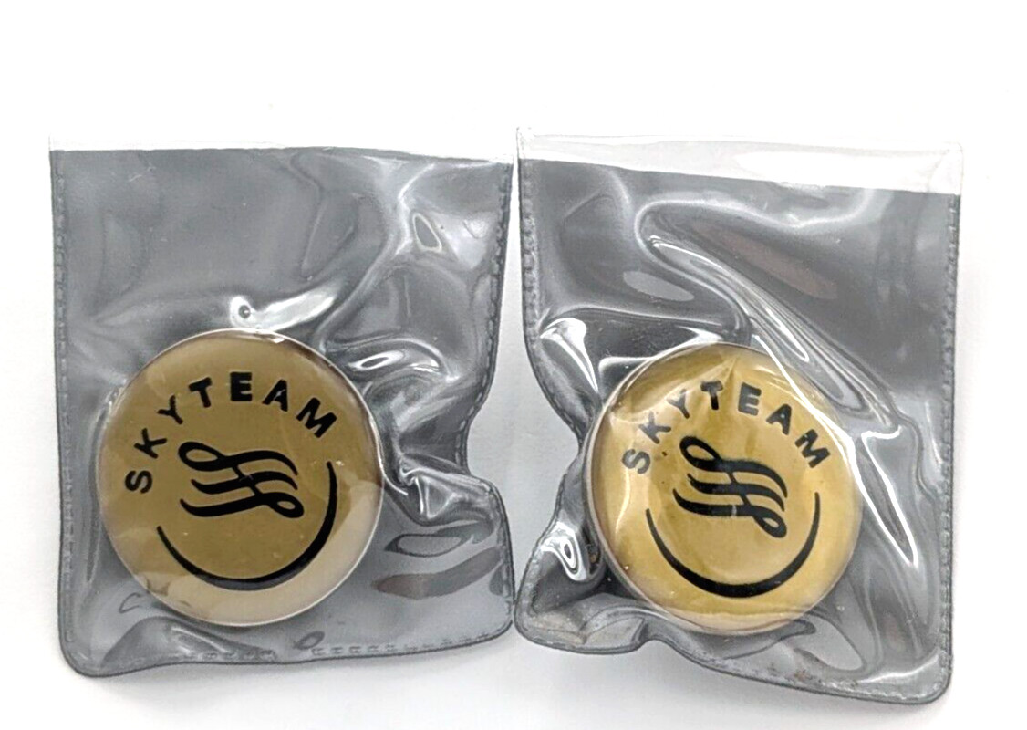 VTG SkyTeam Airlines Alliance Lapel Pin Delta KLM Air France AeroMexico Lot Of 2 VTG SkyTeam Airlines Alliance Lapel Pin Delta KLM Air France AeroMexico Lot Of 2
