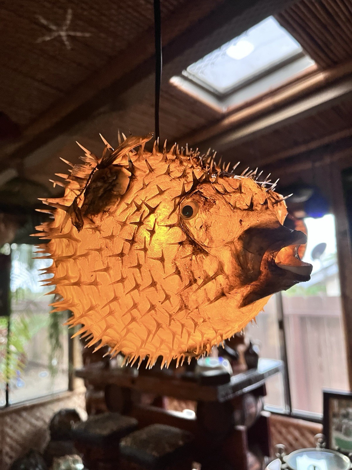NEW 12”-13” Pufferfish Lamp w/yellow LED Tiki bar Smokin Tikis Oceanic NEW 12”-13” Pufferfish Lamp w/yellow LED Tiki bar Smokin Tikis Oceanic