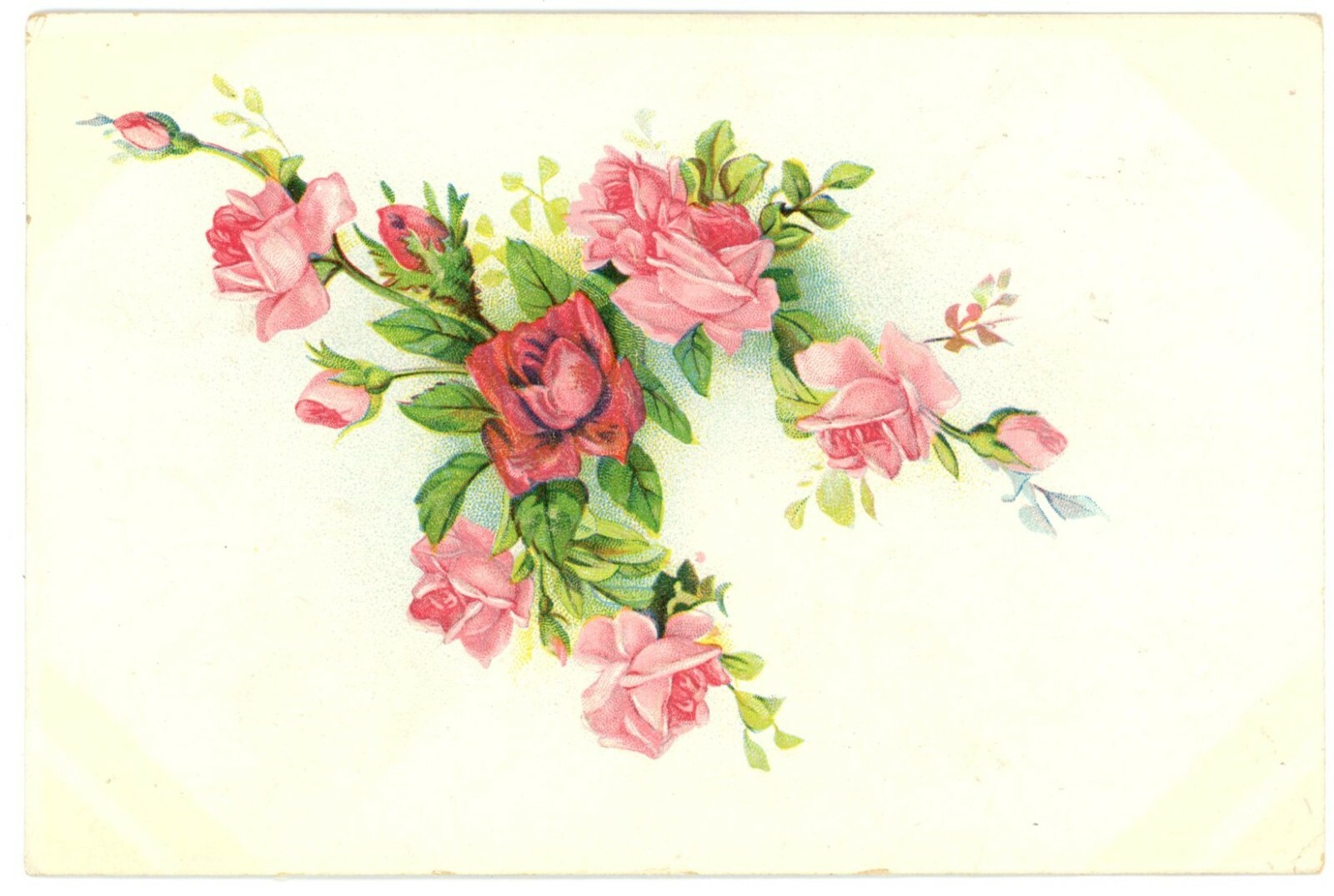Pink & Red Roses Floral Art Divided Back Postcard c1910 Unused Pink & Red Roses Floral Art Divided Back Postcard c1910 Unused
