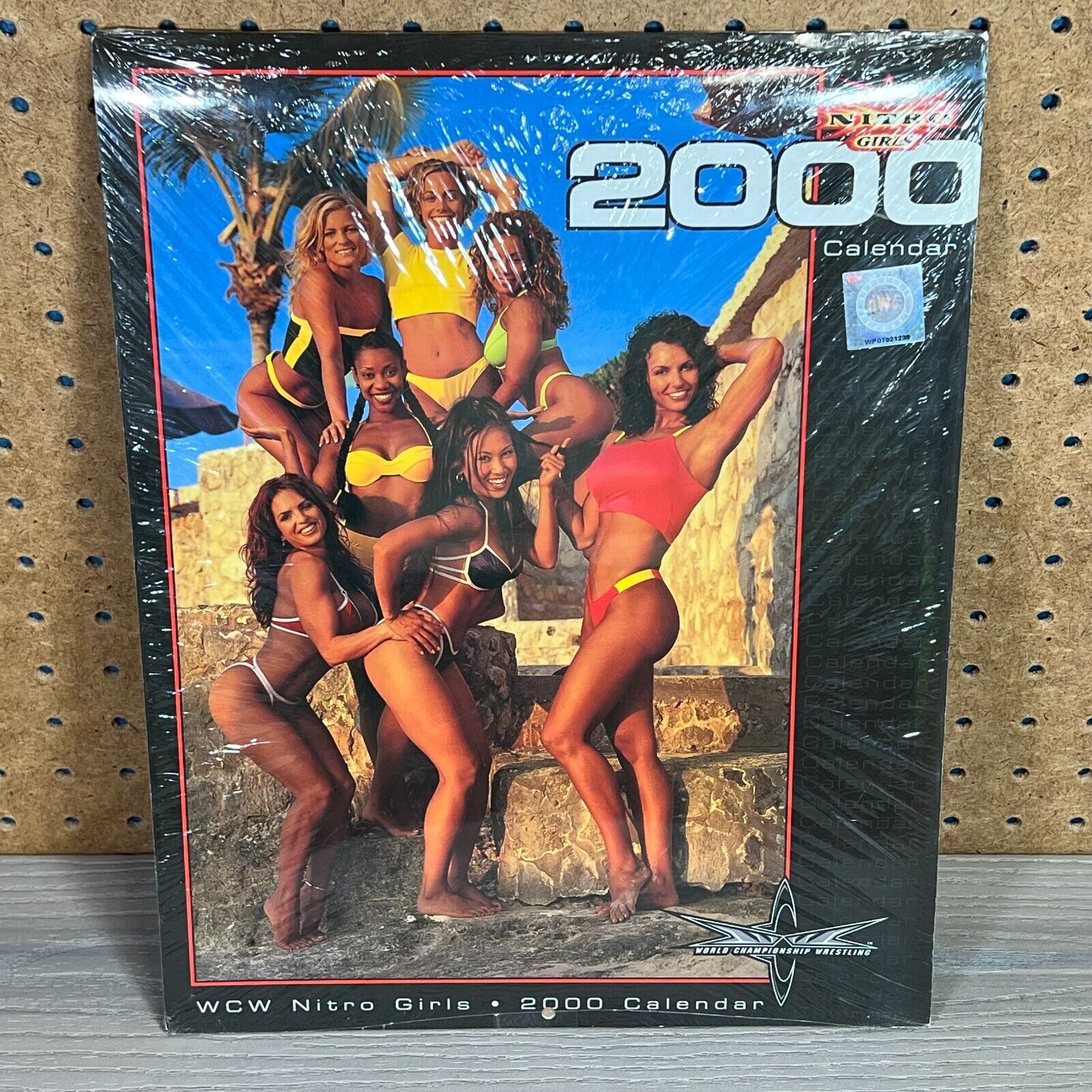 WCW Nitro Girls Vintage Calendar 2000 16 Month Bikini 14x11 BRAND NEW SEALED