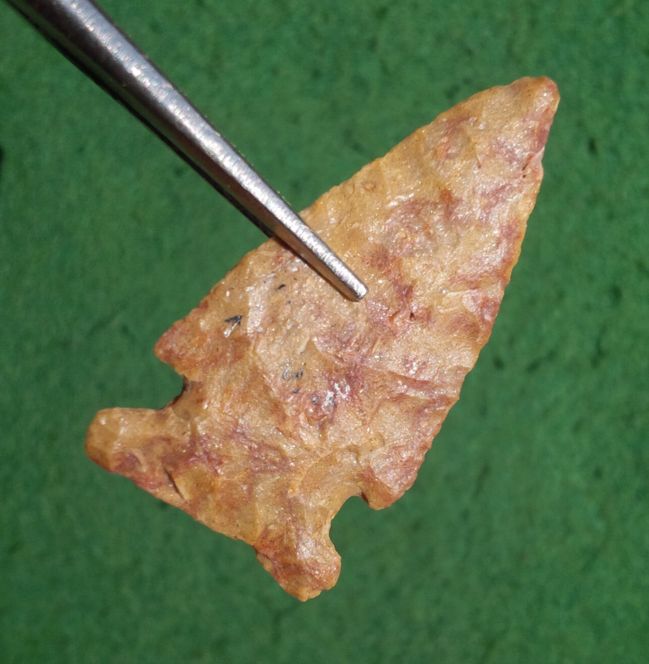 THIN 1-7/8" LONG CREEK NEBRASKA ARROWHEAD - BEN STERMER COA Projectile Point