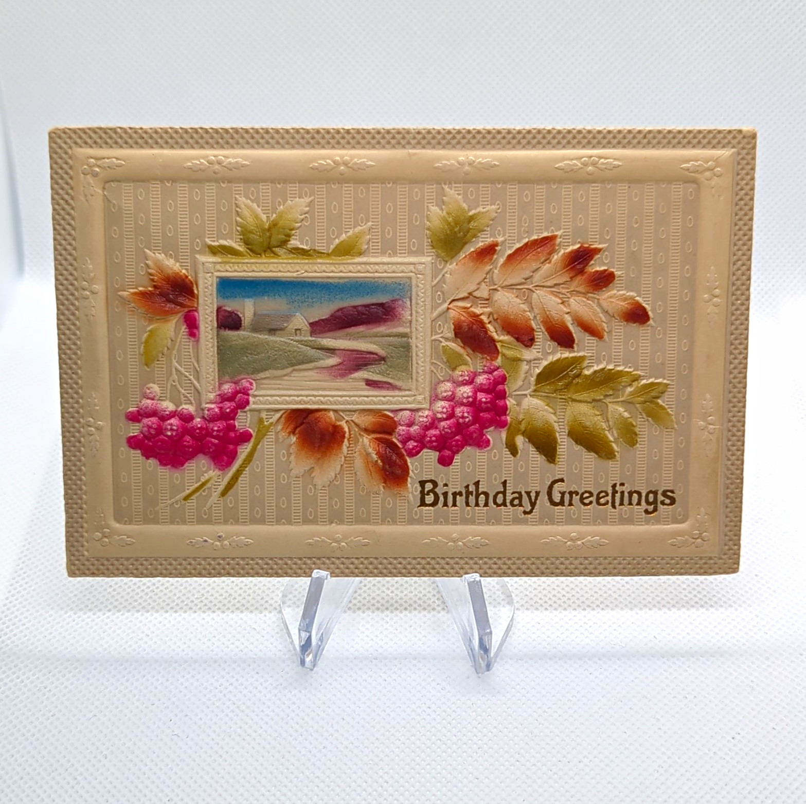c1910's Vintage Embossed Birthday Postcard Cottage Landscape Germany EAS c1910's Vintage Embossed Birthday Postcard Cottage Landscape Germany EAS