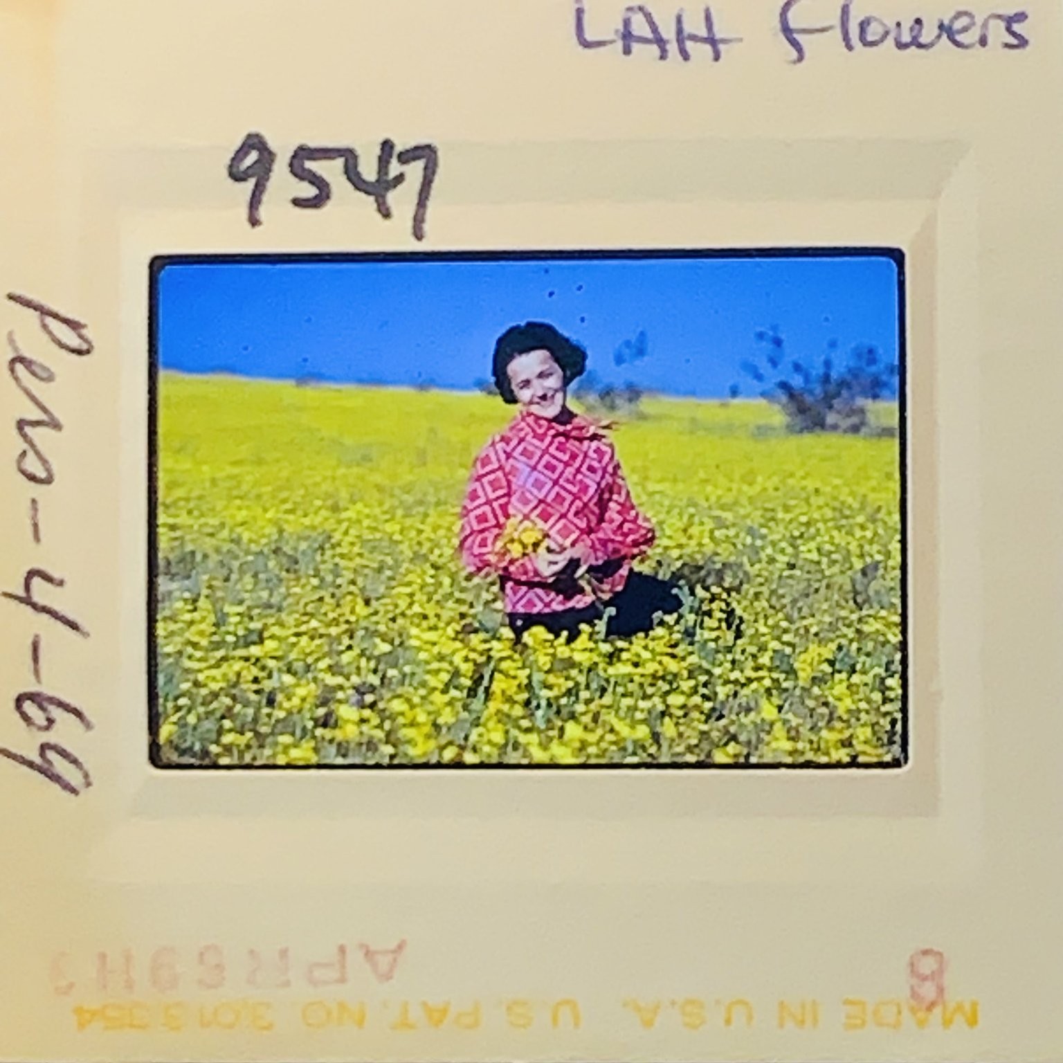 Vtg 1969 35mm Color Slide Woman in Yellow Flower Field Kodachrome Style
