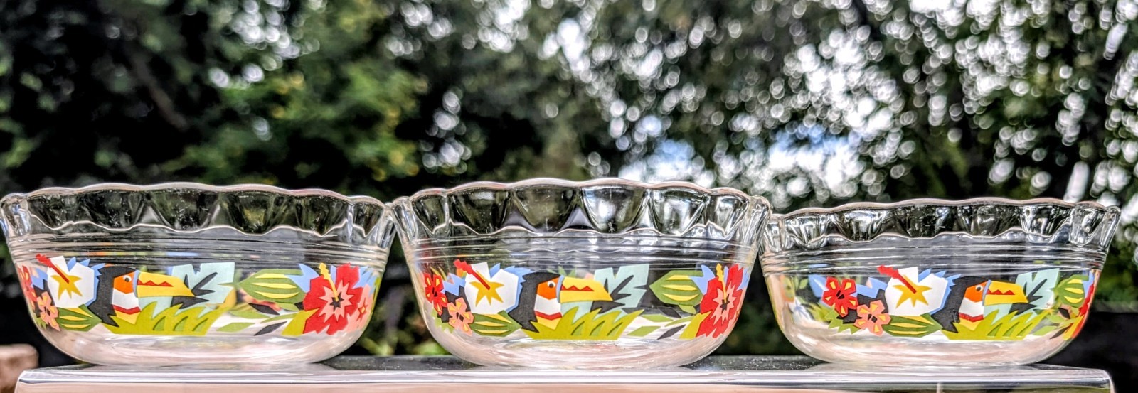 Vintage Pyrex Japan "Toucan" Floral Scalloped Glass Fruit Dish Set of 3 Vintage Pyrex Japan "Toucan" Floral Scalloped Glass Fruit Dish Set of 3