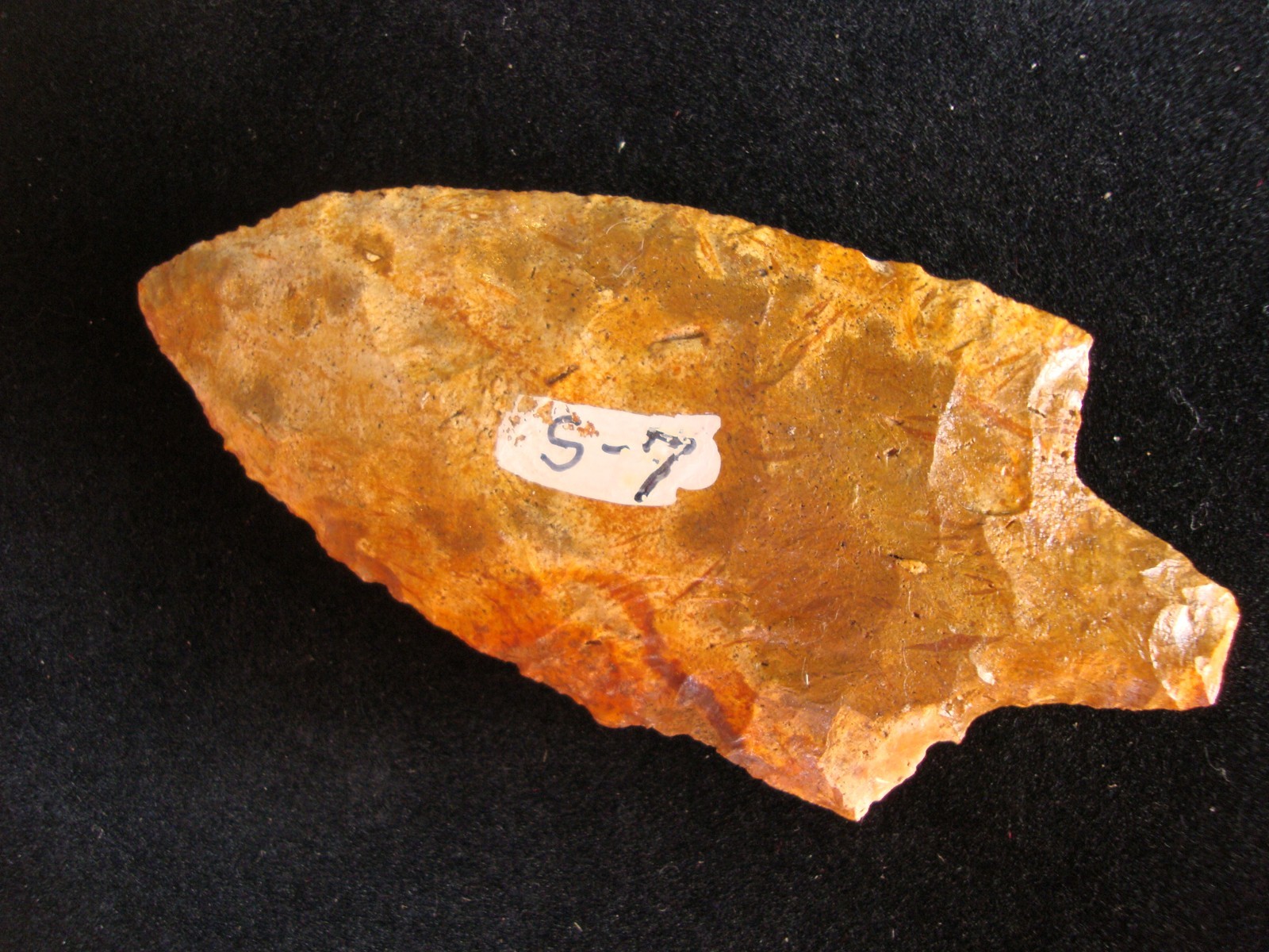 3 5/8" Ear Ding LOCHLOOSA NEWNAN Deep South Arrowhead ~90~ 3 5/8" Ear Ding LOCHLOOSA NEWNAN Deep South Arrowhead ~90~