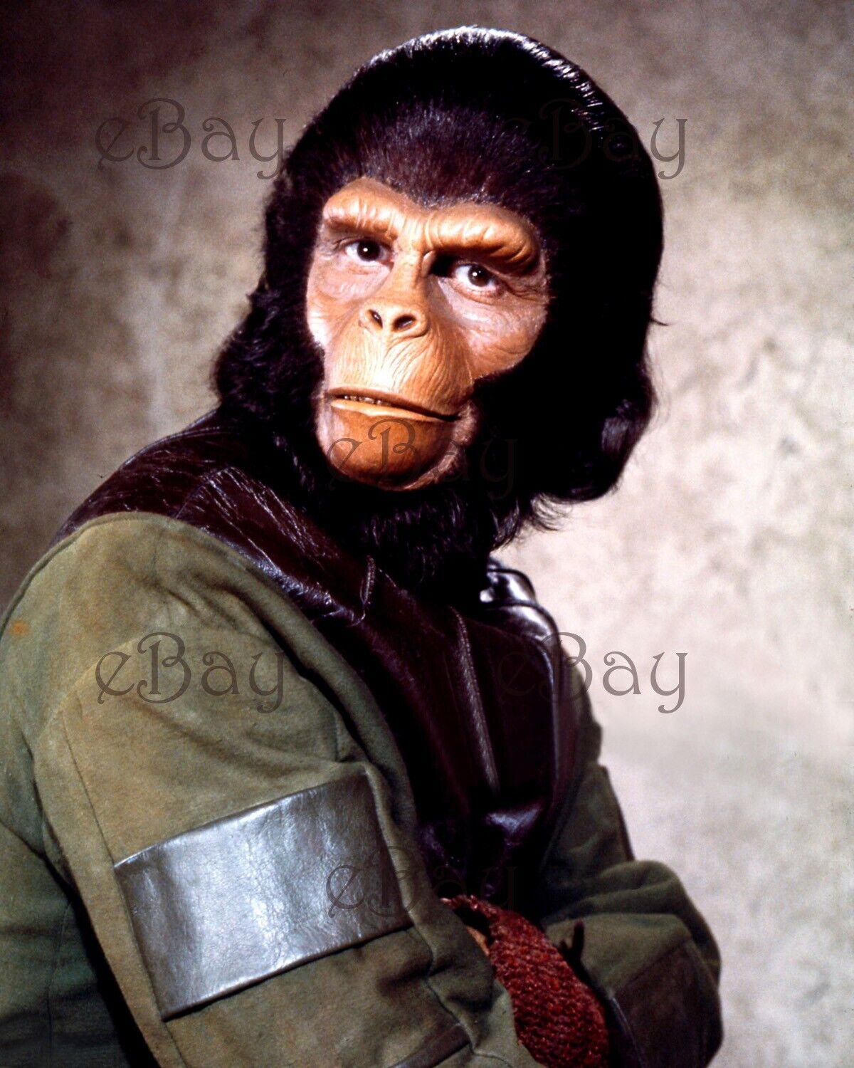 Planet of the Apes - Roddy McDowall as Galen 10 8X10 Photo Reprint