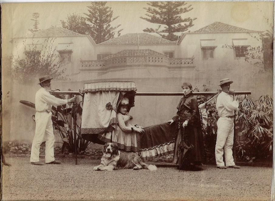 1880s Souvenir Album Original Photos Madeira Panorama Funchal Bay Grand Tour 1880s Souvenir Album Original Photos Madeira Panorama Funchal Bay Grand Tour
