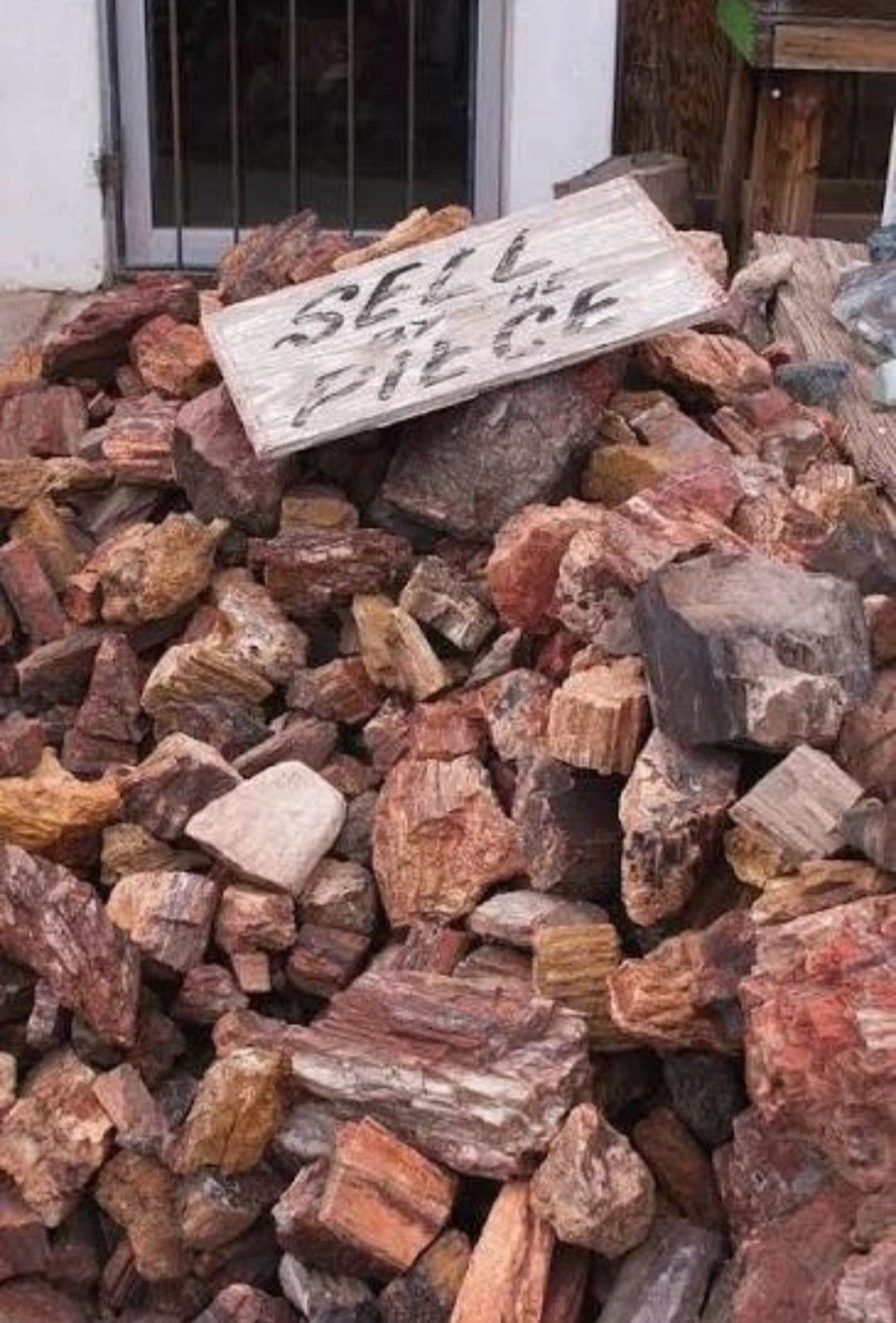 5 Lbs - Arizona Petrified Forrest⛏️: Top Quality Rainbow & Reg Mix Lot, 5 Lb 5 Lbs - Arizona Petrified Forrest⛏️: Top Quality Rainbow & Reg Mix Lot, 5 Lb