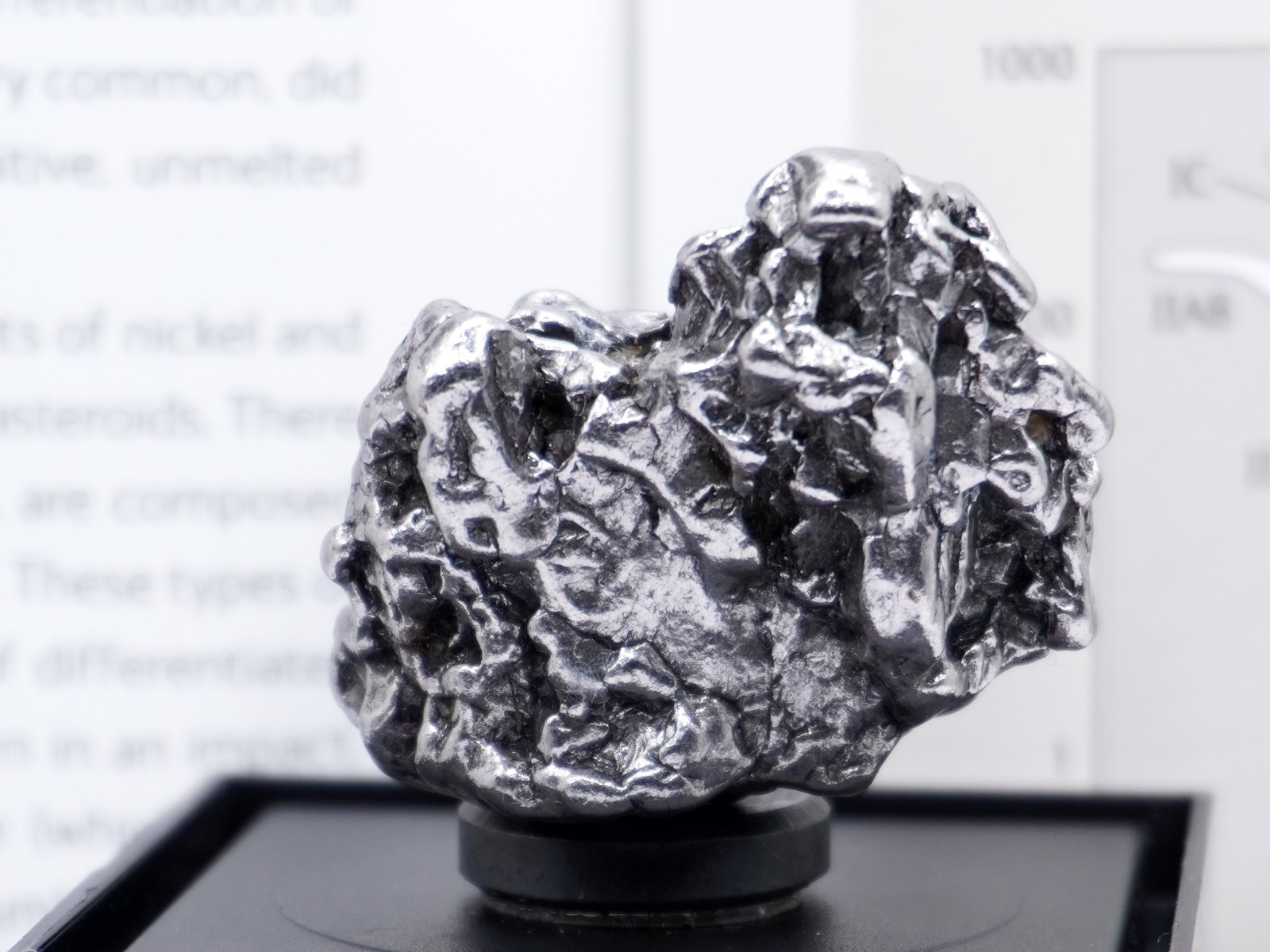 Authentic Campo del Cielo Meteorite | Certified Iron Space Rock from Argentina Authentic Campo del Cielo Meteorite | Certified Iron Space Rock from Argentina