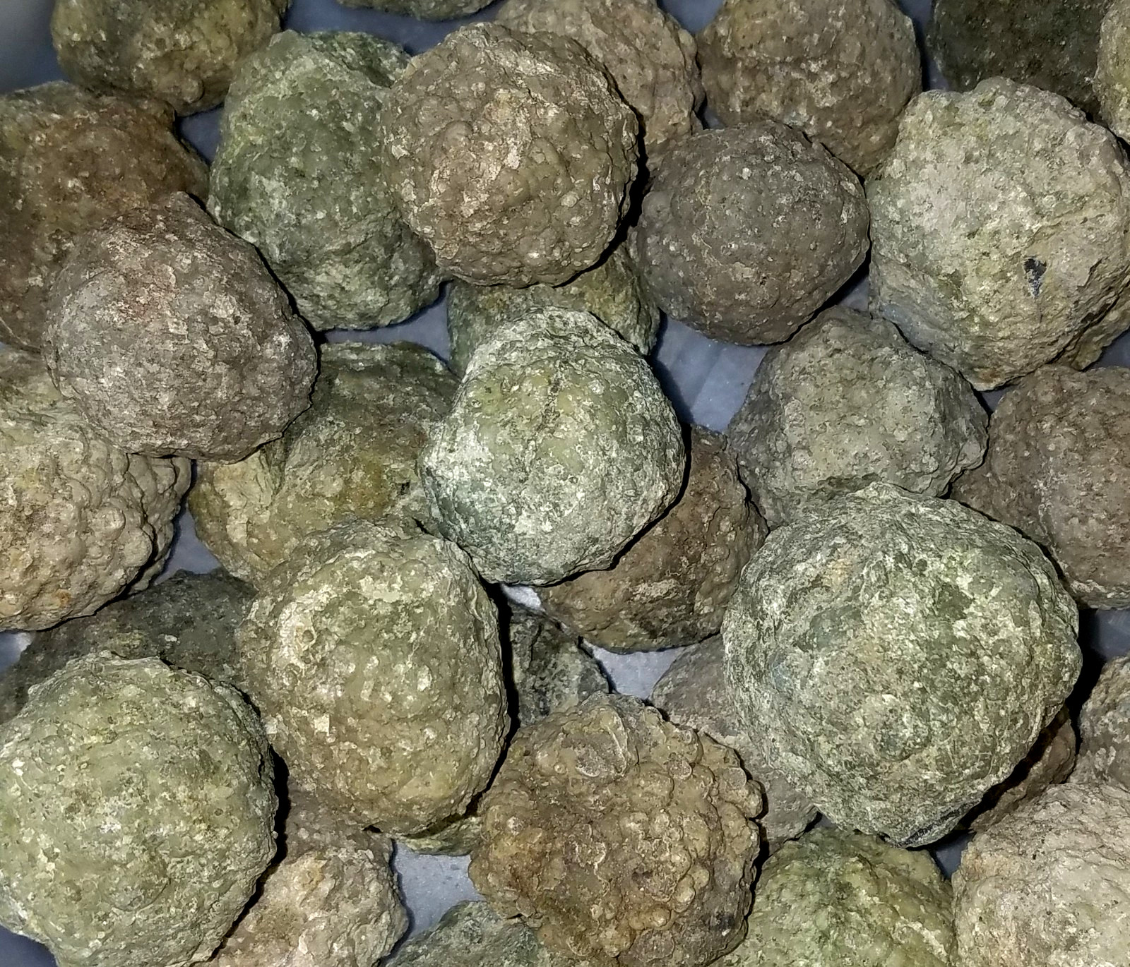 (1-LB LOT)=(10 to 16 Uncut Rough Oregon Thundereggs) Lapidary Agate Rocks Geode (1-LB LOT)=(10 to 16 Uncut Rough Oregon Thundereggs) Lapidary Agate Rocks Geode