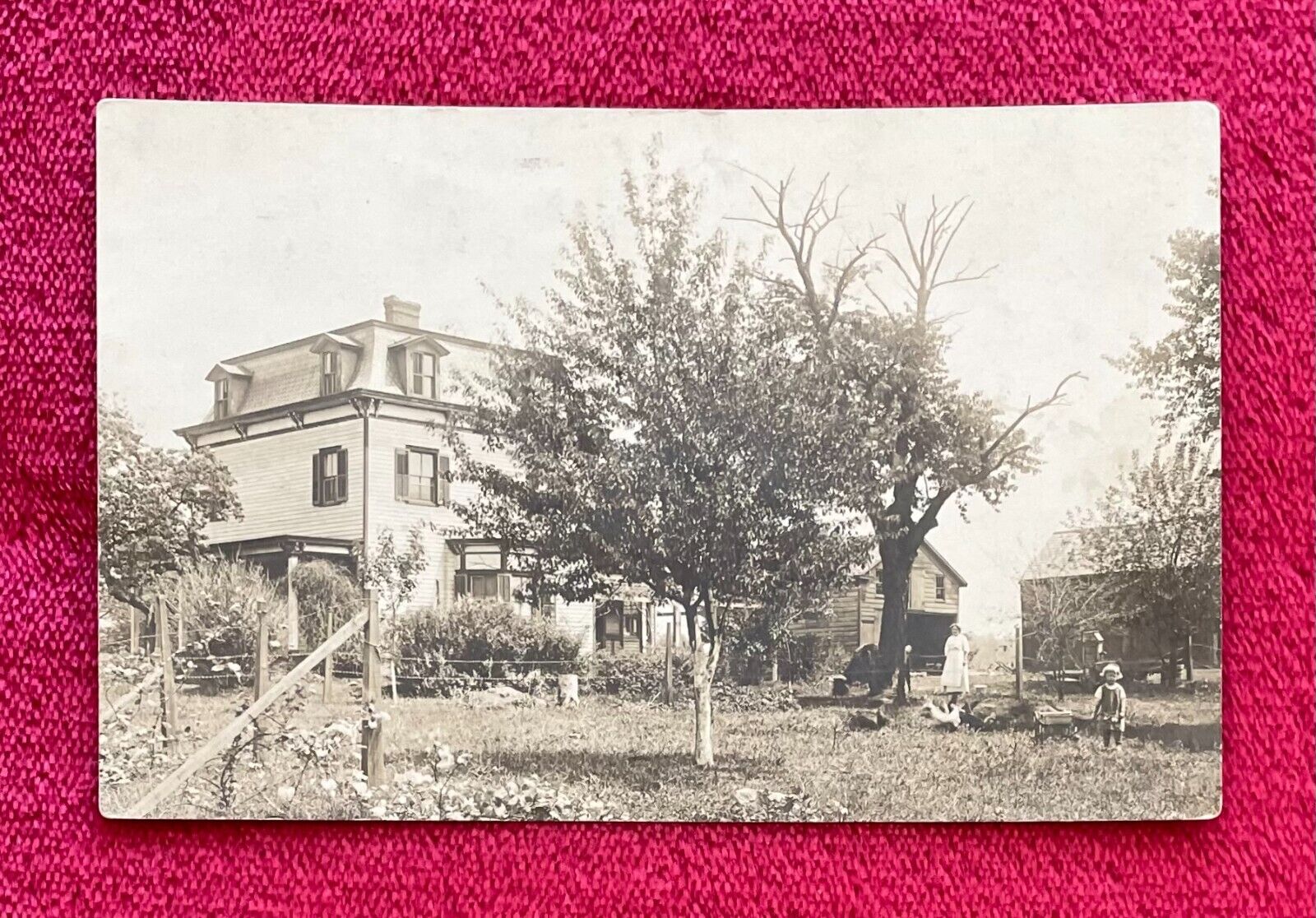 PLAINFIELD, NEW JERSEY FAMILY FARM by THE STAR POST CARD CO. 1910