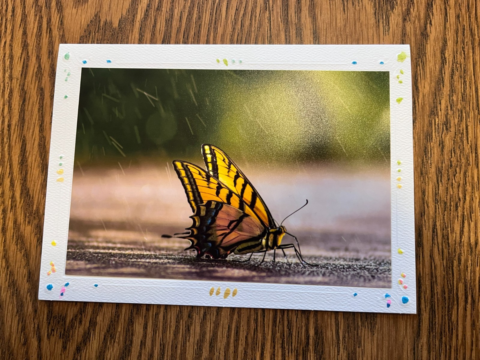 KINGDOM CARDS BEAUTIFUL HOMEMADE GREETING CARDS WITH NWT QUOTE INSIDE KINGDOM CARDS BEAUTIFUL HOMEMADE GREETING CARDS WITH NWT QUOTE INSIDE