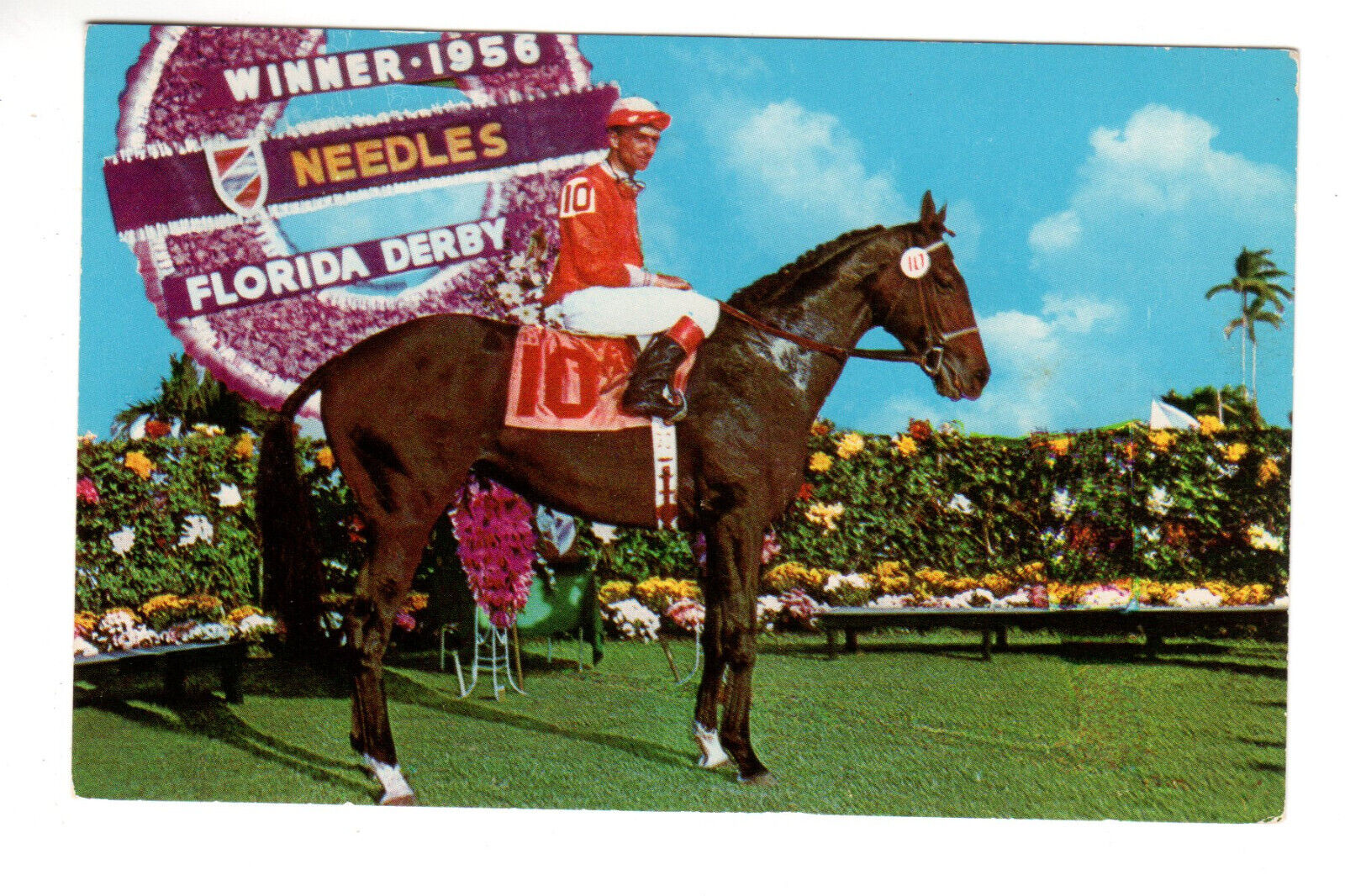 Postcard: Needles, winner 1956 Florida Derby; D&H Stables