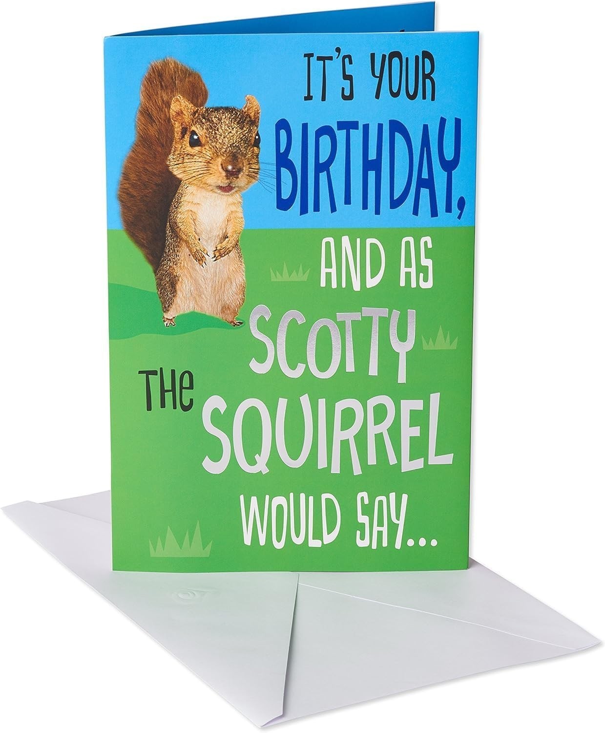 Funny Birthday Card (Squirrel) Funny Birthday Card (Squirrel)