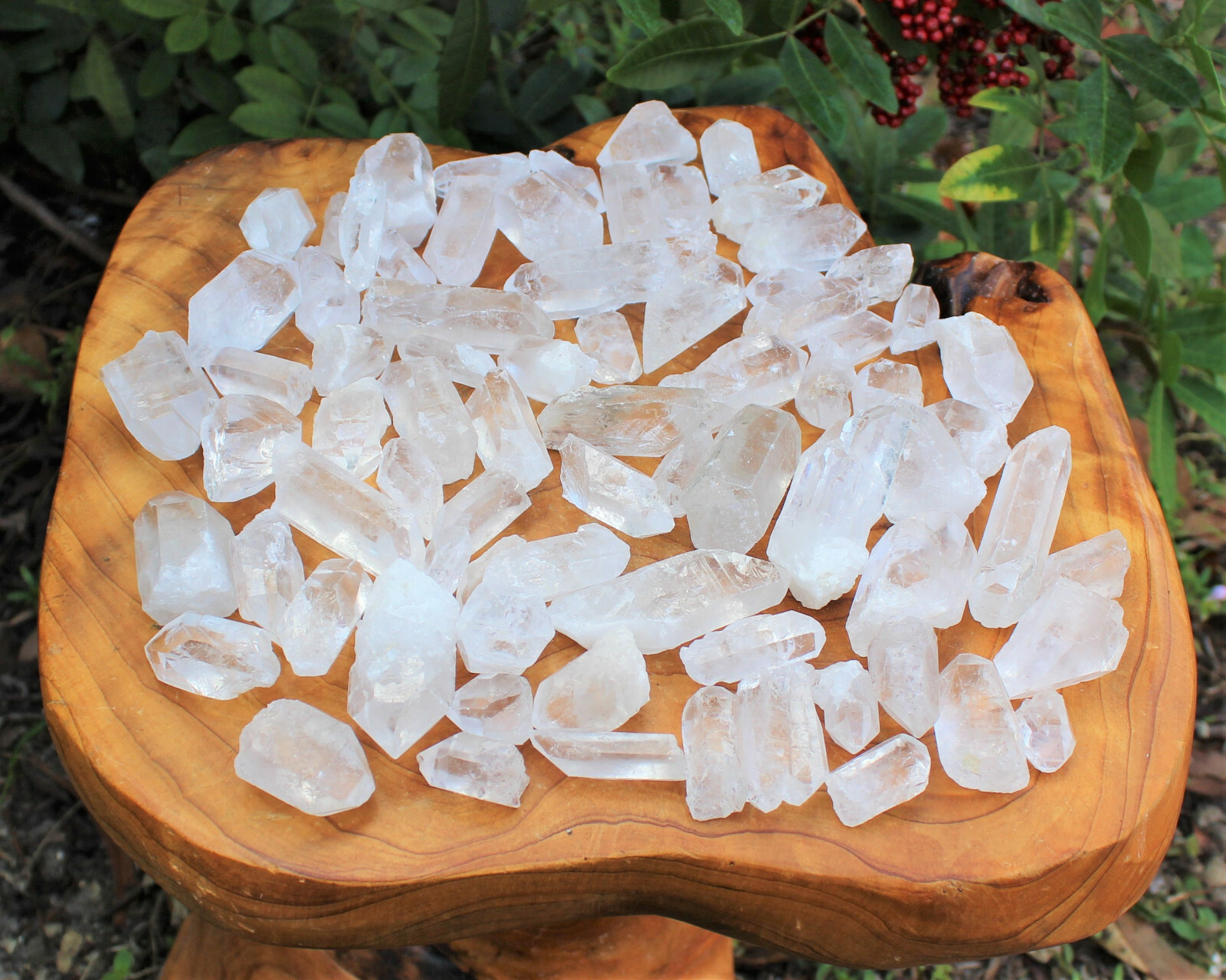 1 lb Clear Quartz Crystal Points: Natural Small A Grade Wholesale Bulk Lot 1 lb Clear Quartz Crystal Points: Natural Small A Grade Wholesale Bulk Lot