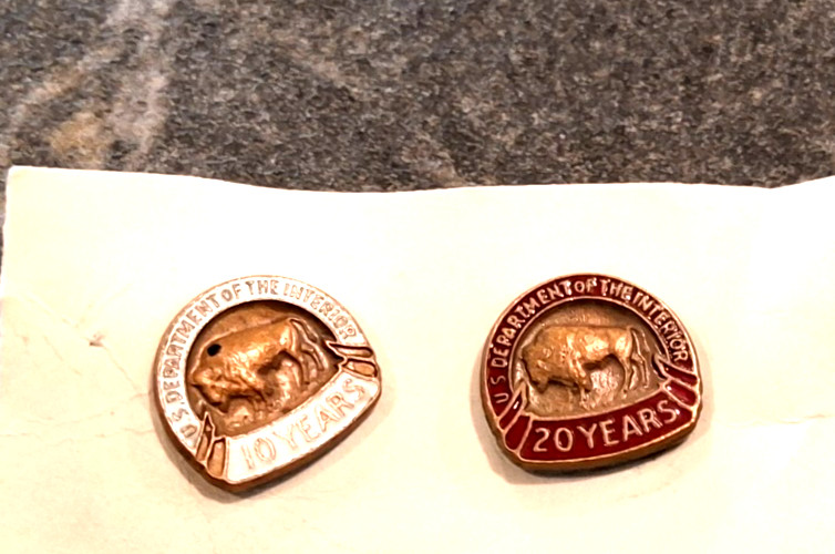 2 VTG U.S. DEPARTMENT OF THE INTERIOR PIN 10 & 20 YEAR BUFFALO & ENAMEL EXCELLEN 2 VTG U.S. DEPARTMENT OF THE INTERIOR PIN 10 & 20 YEAR BUFFALO & ENAMEL EXCELLEN