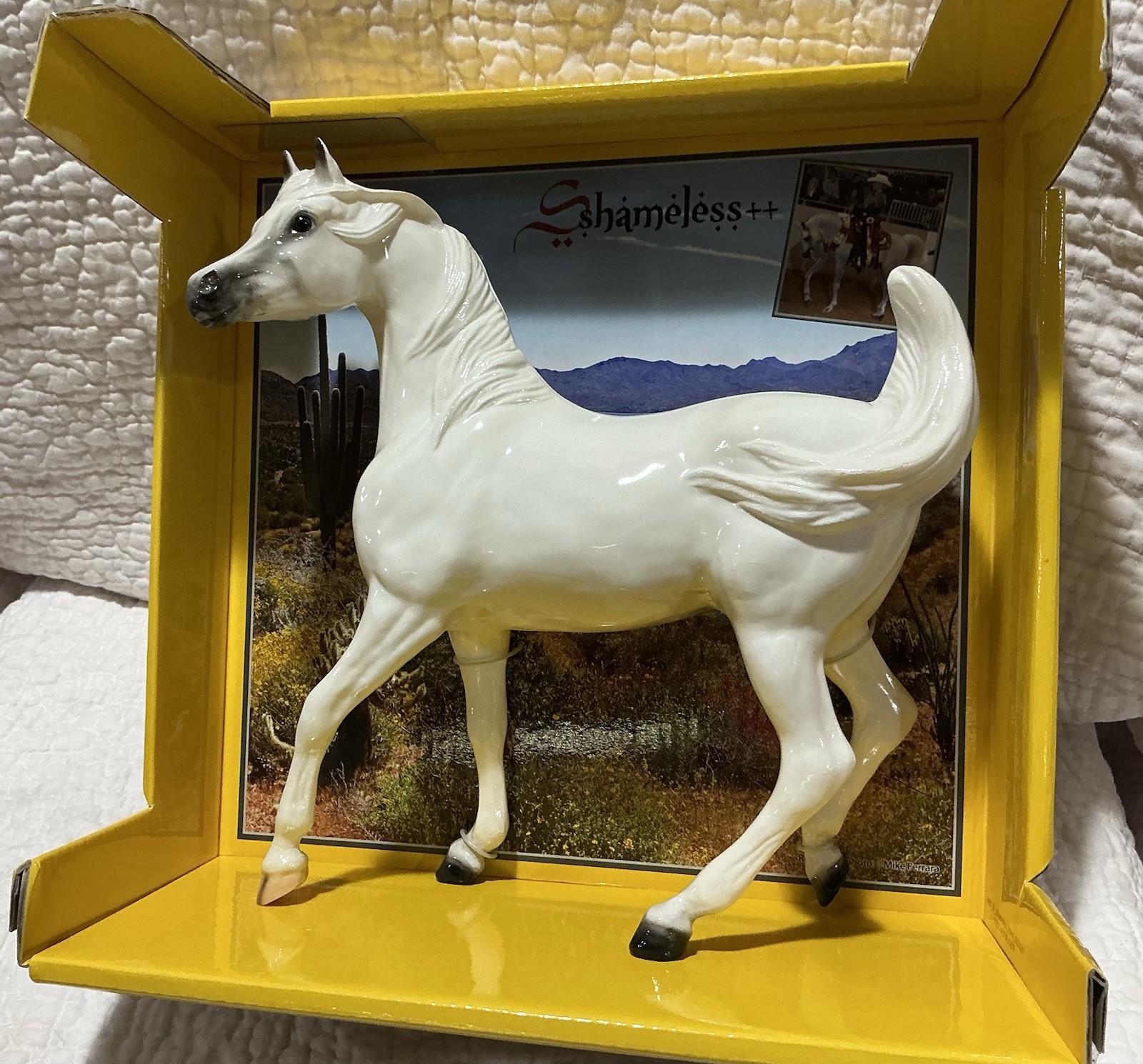 Breyer HIGH GLOSSY SHAM Sshameless ++ ONLY 26 MADE ~ Breyerfest 2014 SHOW PRIZE+