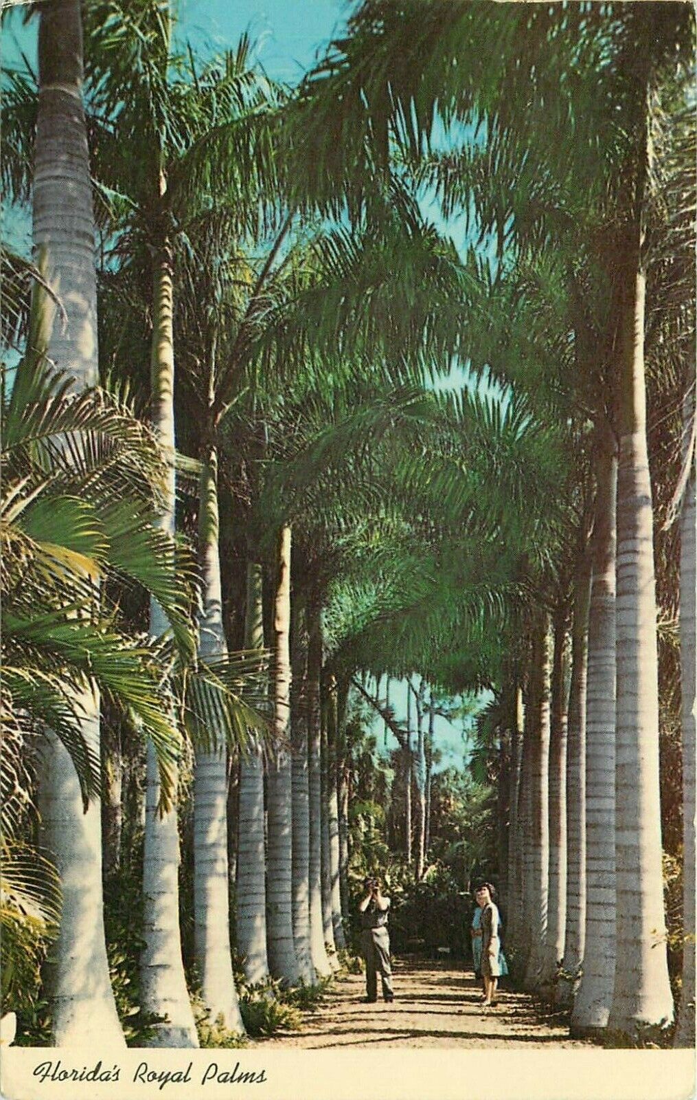 Colonnade Royal Palms Daytona Beach Florida FL pm 1968 Postcard