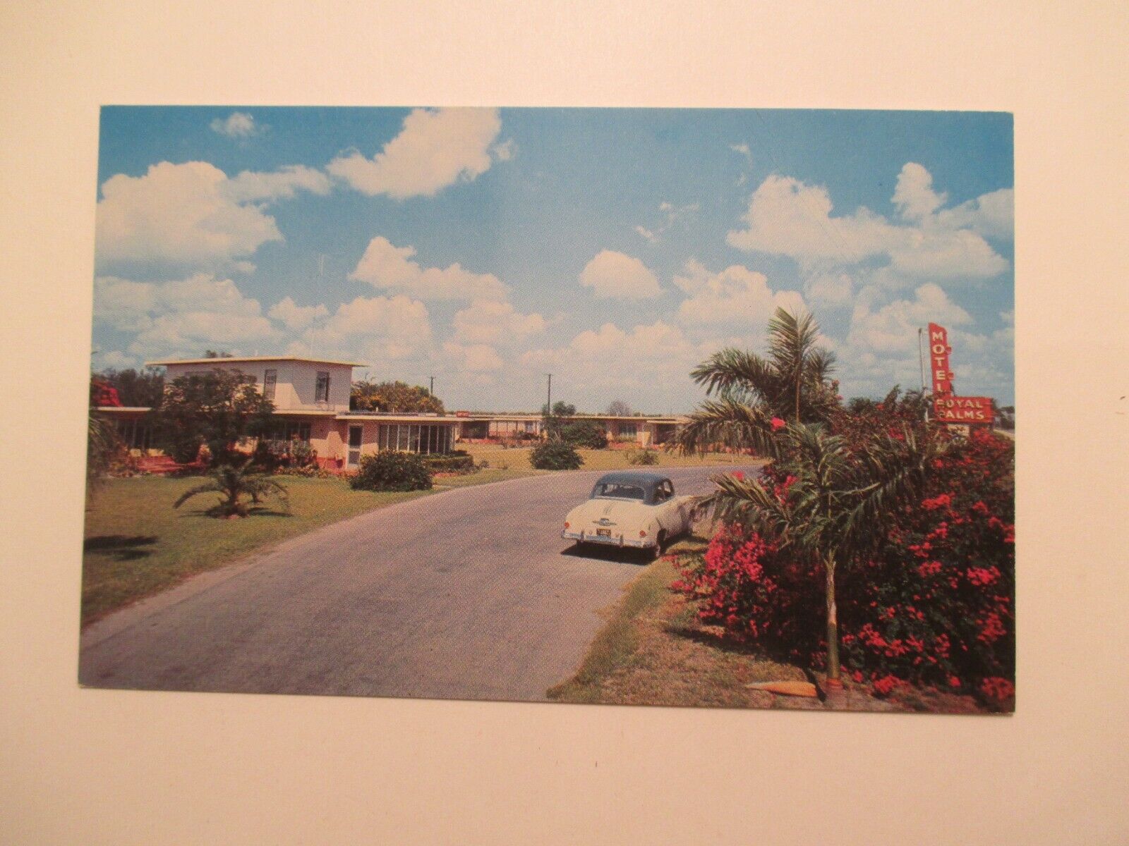 McAllen Texas Postcard Royal Palms Motel TX