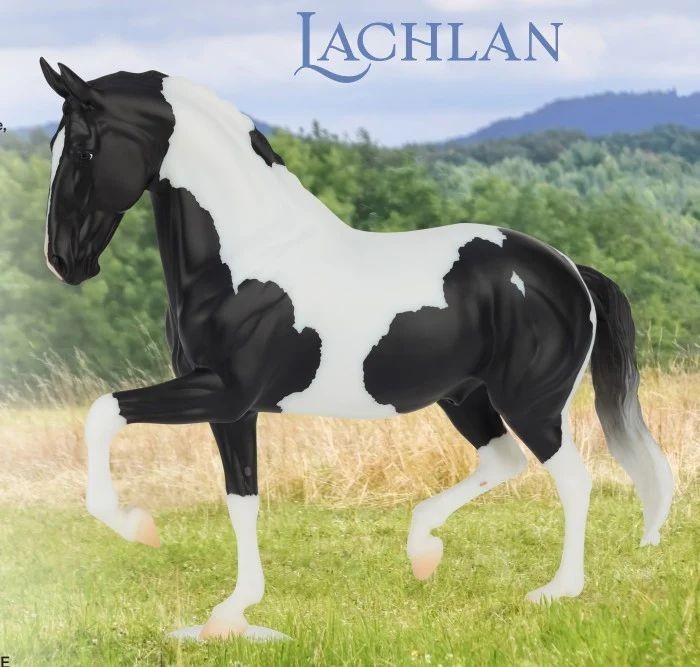 Breyer B-TR-10823 Lachlan Warmblood Pinto - Fall 2026 Limited Release - NEW Breyer B-TR-10823 Lachlan Warmblood Pinto - Fall 2026 Limited Release - NEW