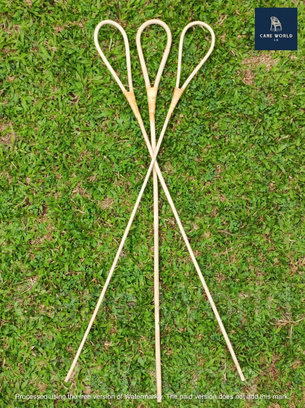 2pc Rattan Cane Scholastic Punishment sticks High Quality (size Big 0.7 - 1 cm) 2pc Rattan Cane Scholastic Punishment sticks High Quality (size Big 0.7 - 1 cm)