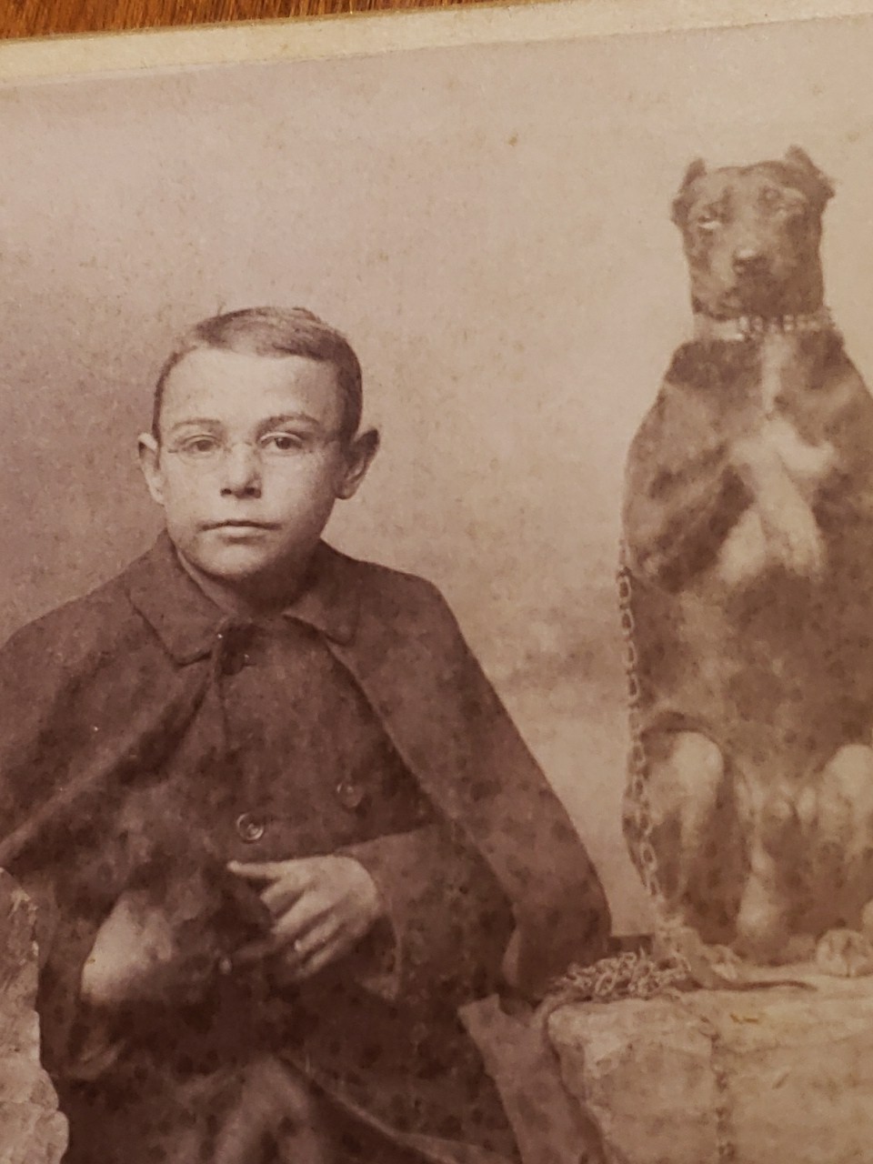 Antique 1890s Cabinet Card Photo Boy with Trained Trick Dog Performing Rogers VA Antique 1890s Cabinet Card Photo Boy with Trained Trick Dog Performing Rogers VA