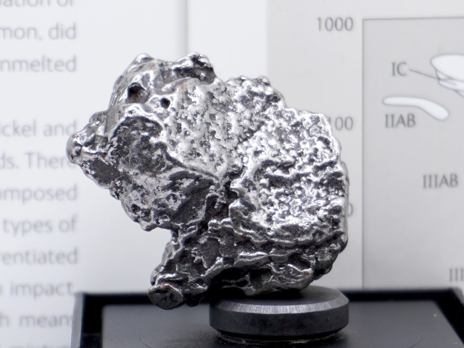 Authentic Campo del Cielo Meteorite | Certified Iron Space Rock from Argentina Authentic Campo del Cielo Meteorite | Certified Iron Space Rock from Argentina
