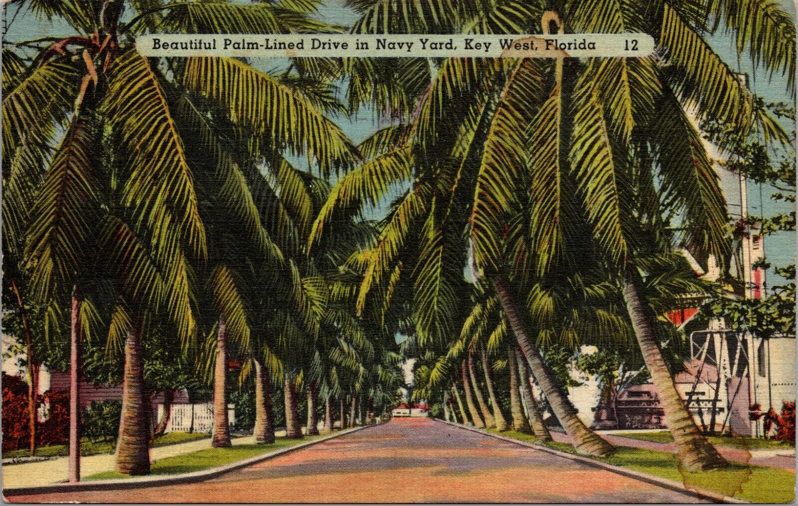 Navy Yard Key West Florida Palm Tree Lined Drive 1940 TICHNOR Linen Postcard