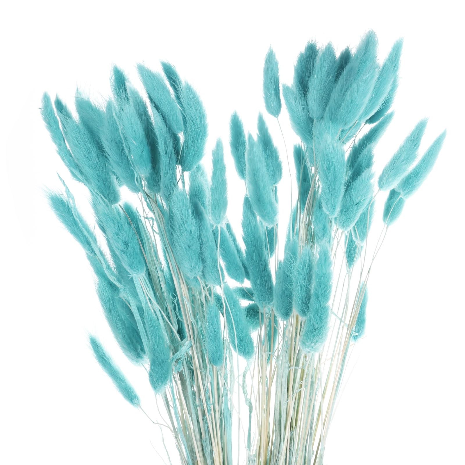 MECCANIXITY 120pcs Rabbit Bunny Tails Dried Flowers 24" Turquoise Blue