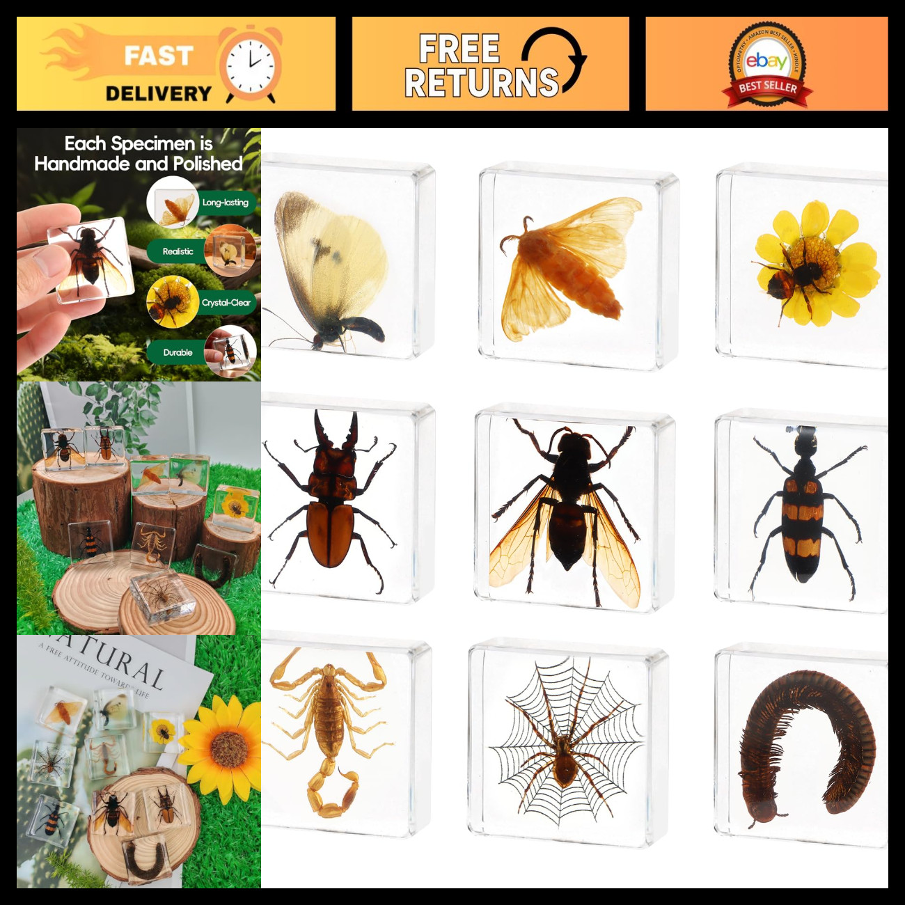 9 Pcs Taxidermy Insects in Resin Blocks, Unique Bug Display Set, Home Decor 9 Pcs Taxidermy Insects in Resin Blocks, Unique Bug Display Set, Home Decor