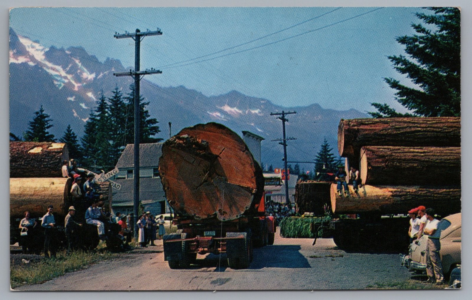 Oregon Logging Huge Logs Log Truck Mountain View Postcard Oregon Logging Huge Logs Log Truck Mountain View Postcard