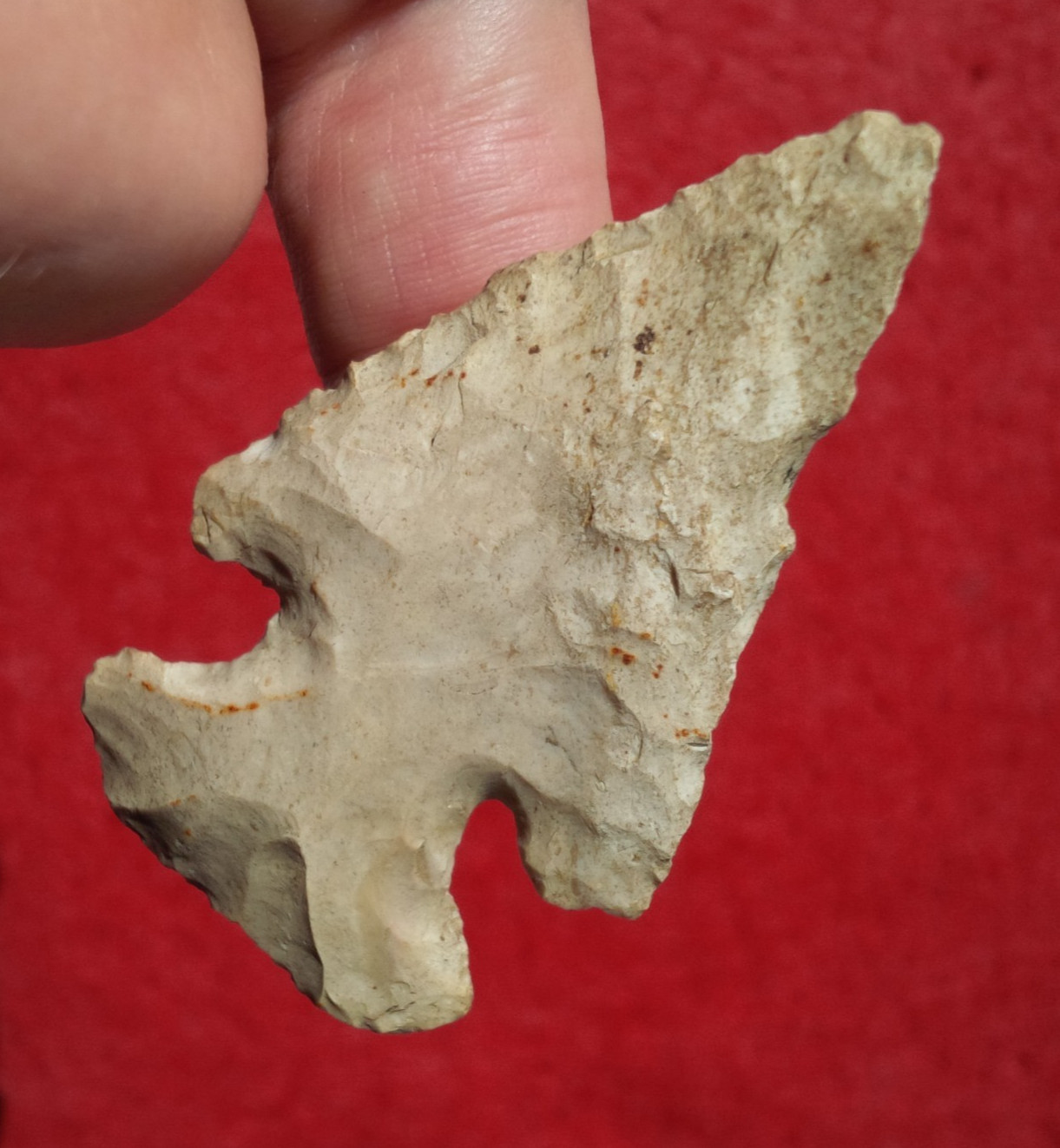 2-5/8" THEBES INDIANA ARROWHEAD Authentic Projectile Point WITH BEN STERMER COA 2-5/8" THEBES INDIANA ARROWHEAD Authentic Projectile Point WITH BEN STERMER COA