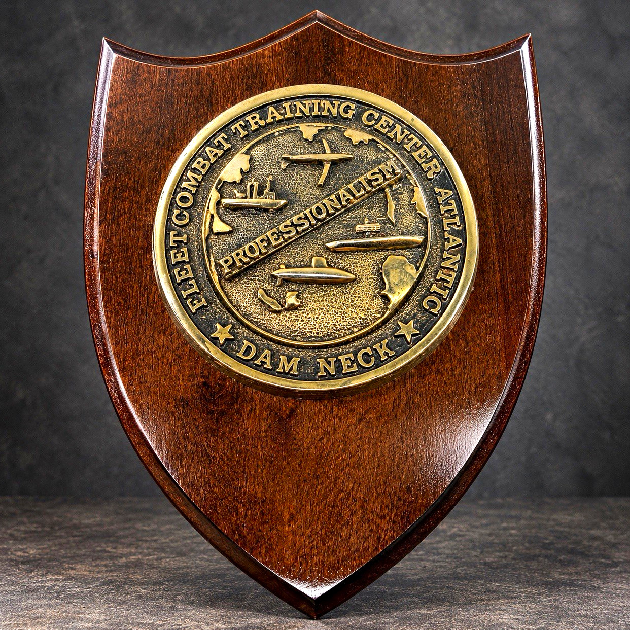 Rare Vintage FCTCLANT Dam Neck Navy Plaque R Pette Co Fleet Combat Training 9” Rare Vintage FCTCLANT Dam Neck Navy Plaque R Pette Co Fleet Combat Training 9”